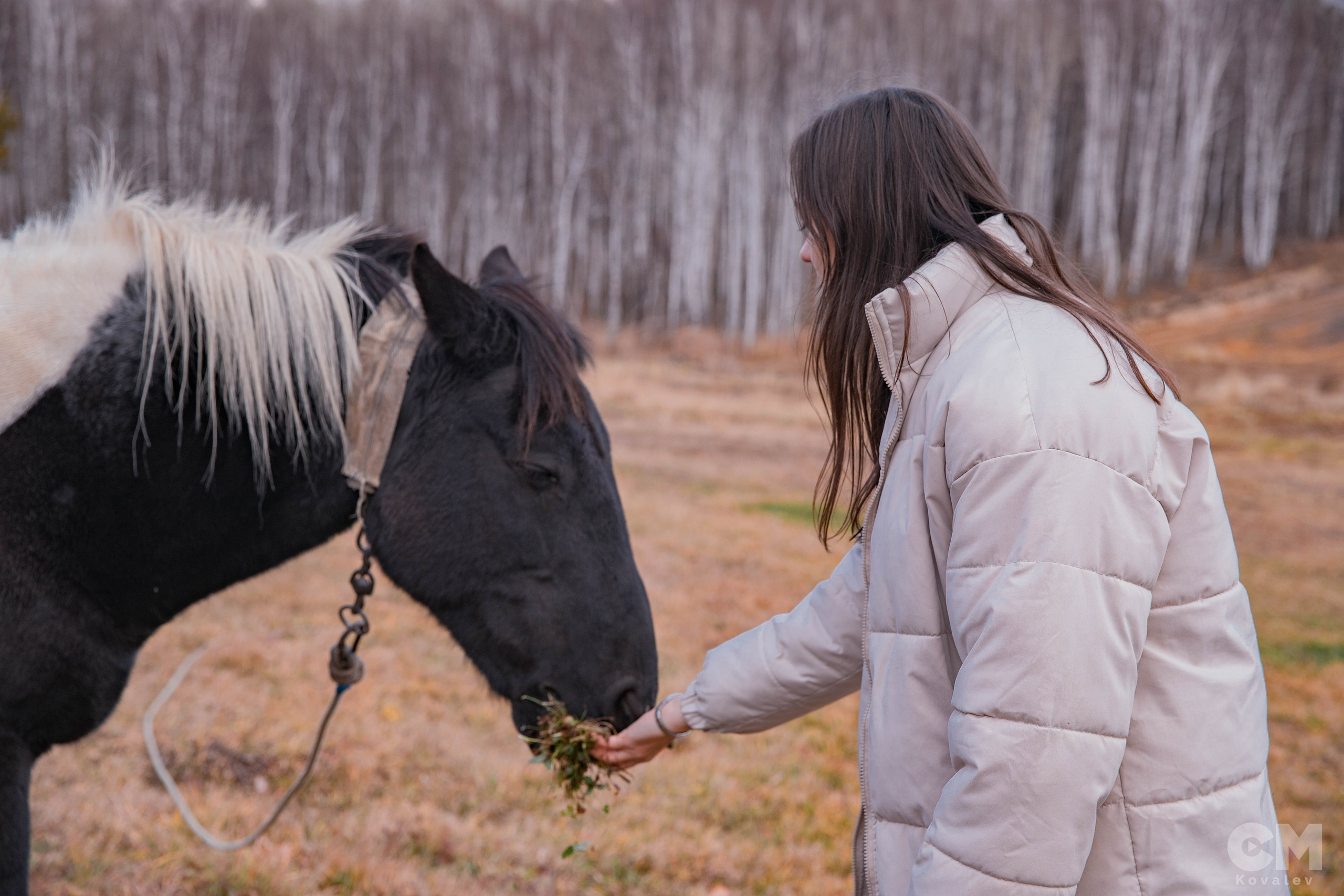 Форум «Россия наш дом ". Репортажный фотограф в Иркутске — Ярослав Ковалёв