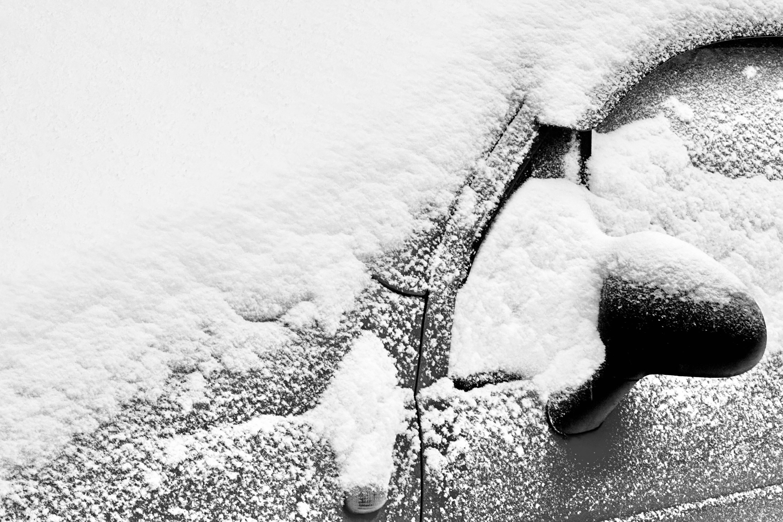 Чёрно-белая зима 25-26. Фотосессии и репортаж — Фотограф в Москве — Рина Серёгина
