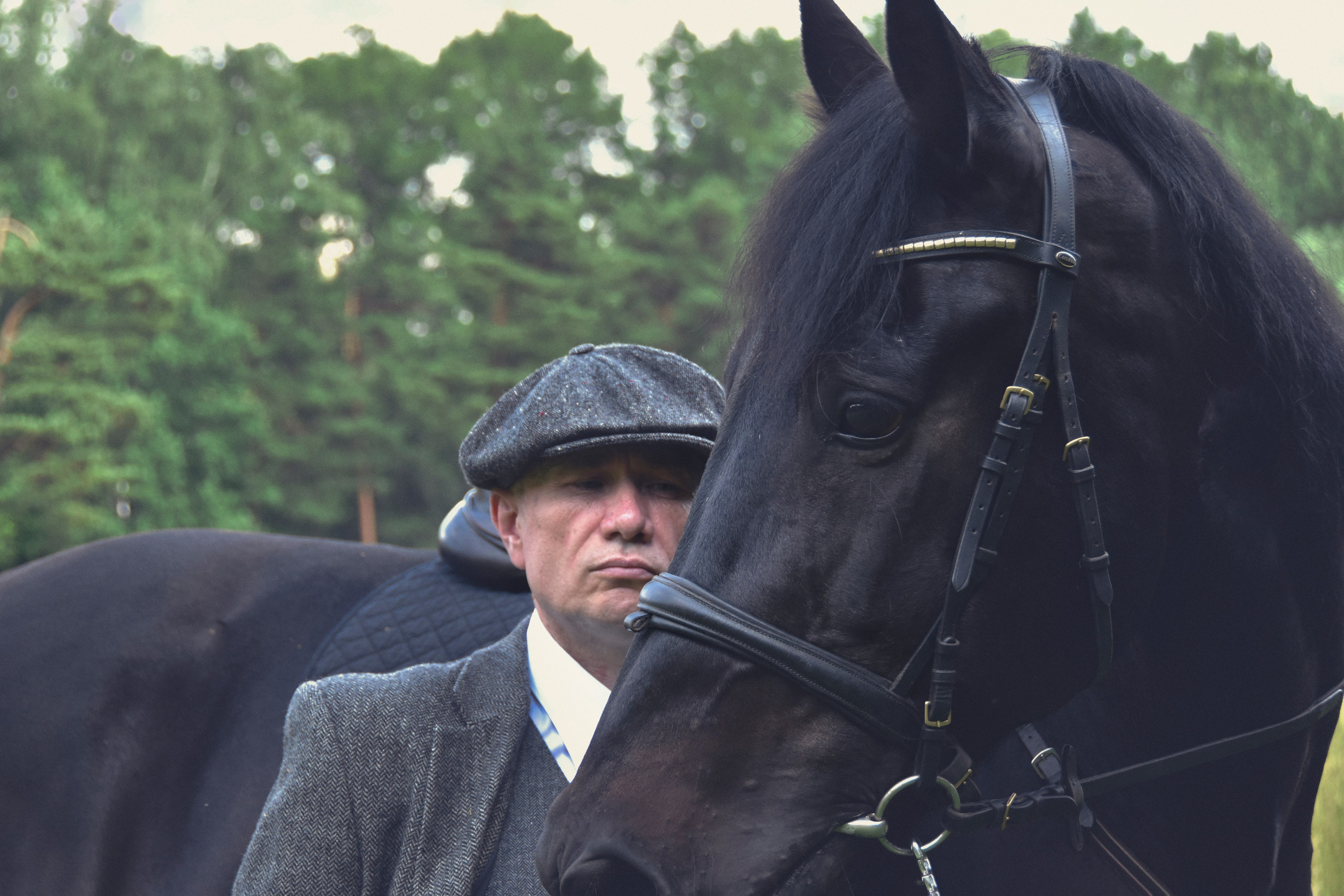 Рафаэль и Султан. Peaky Blinders. Конный фотограф Москва