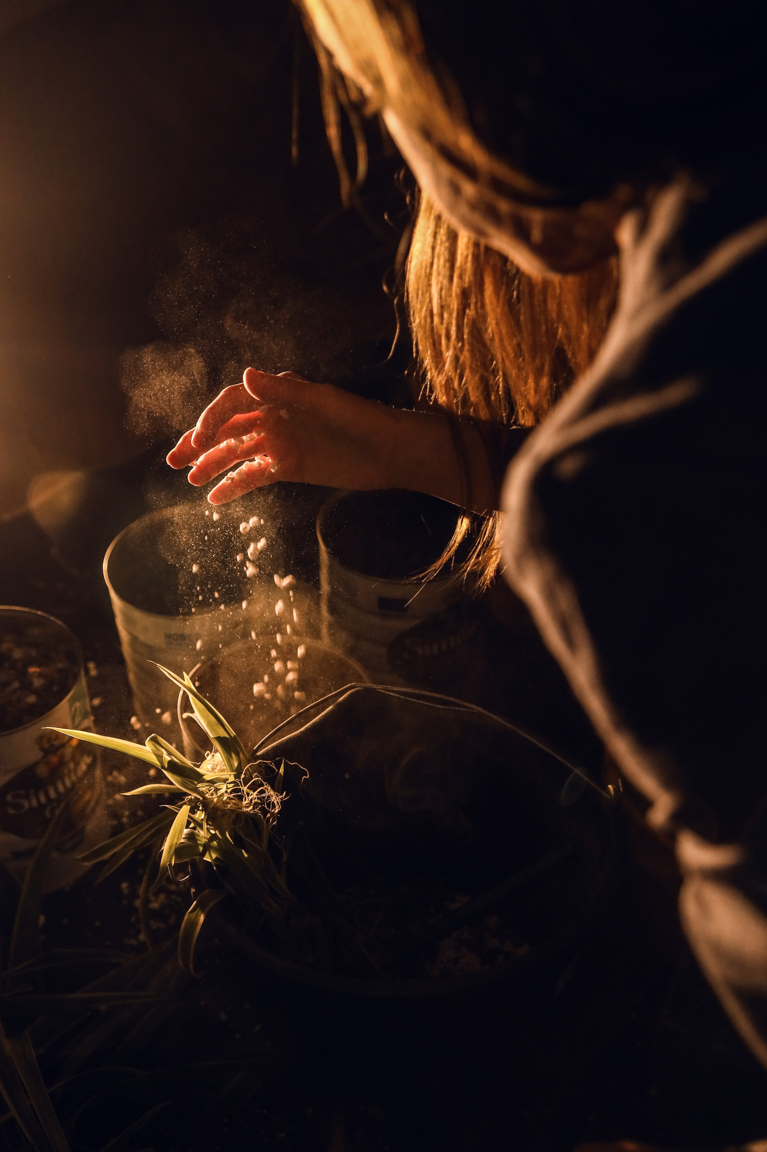 Моя Травология. Катя Цвет