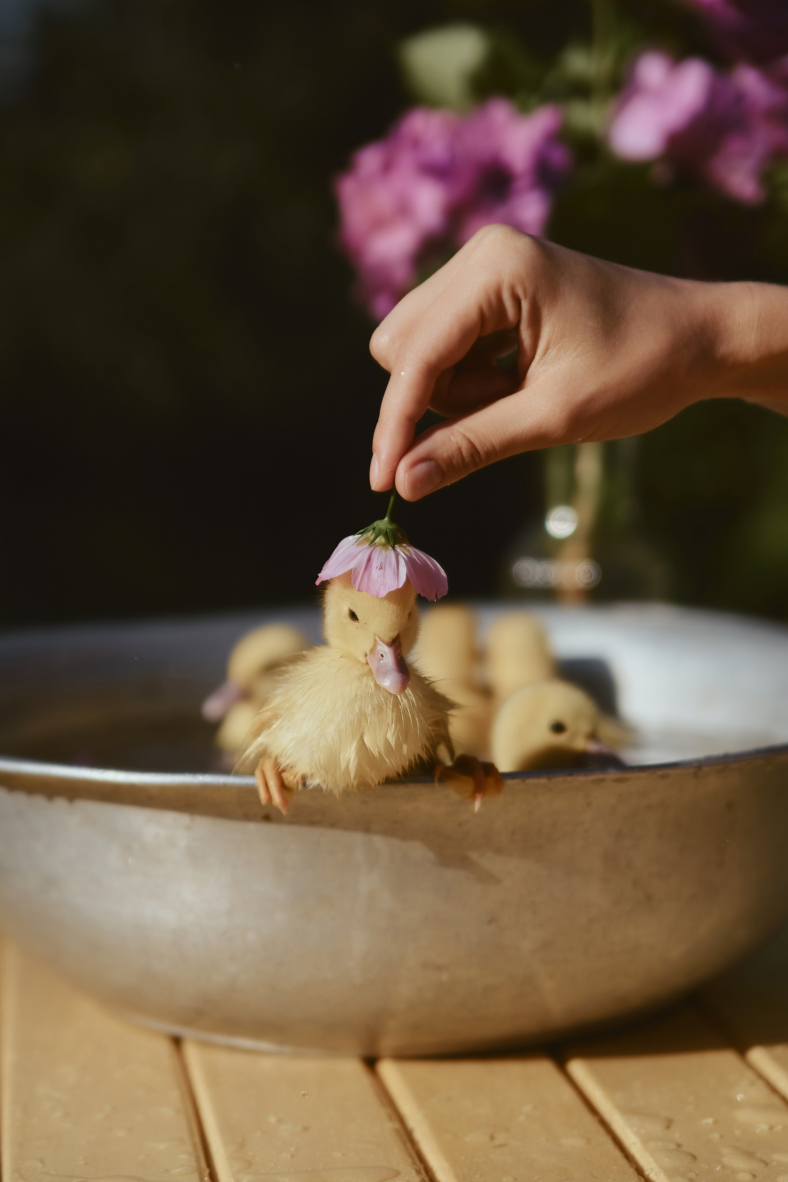 30|07|23. Анастасия Марунич | Блогер | Ставрополь