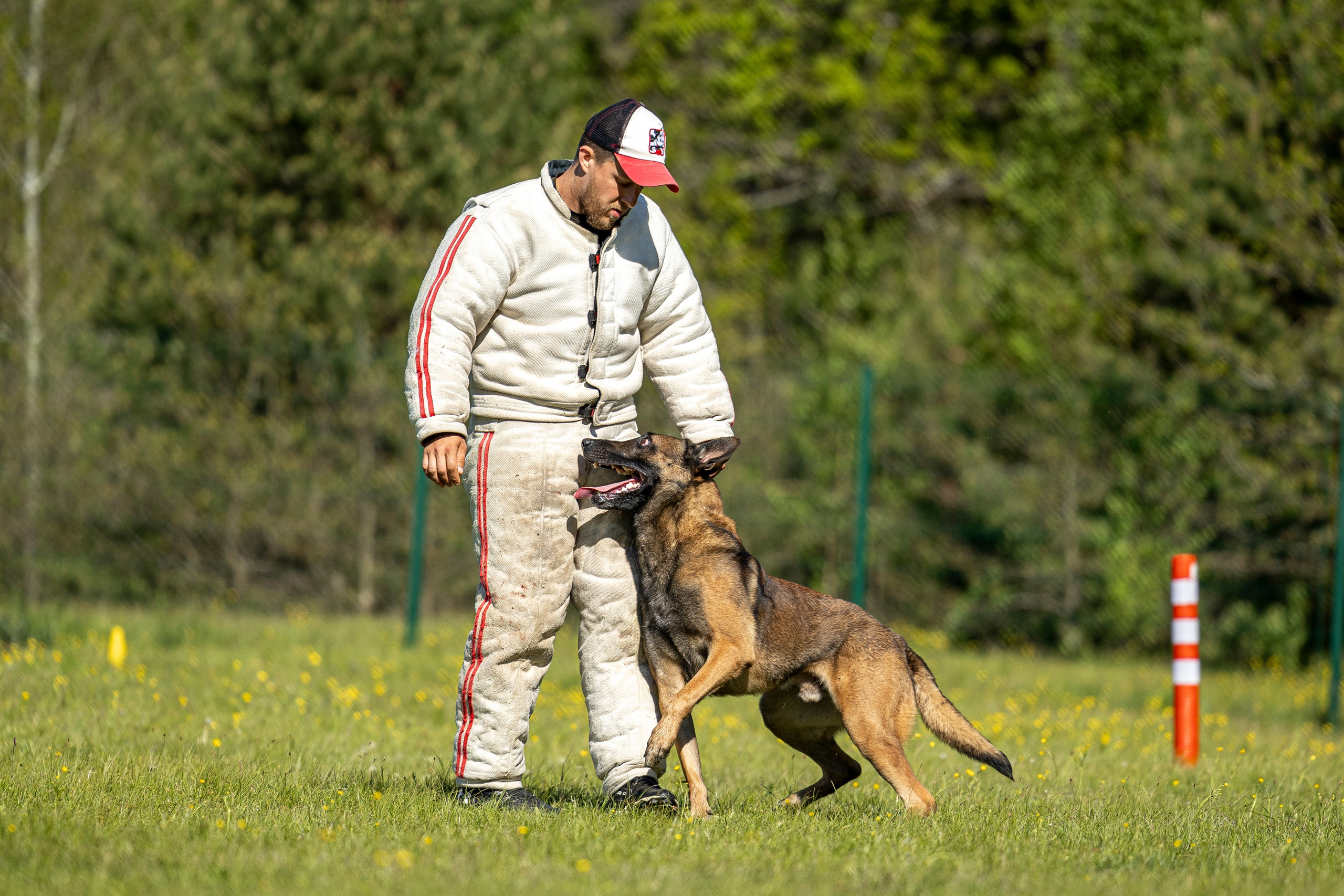 Испытания по мондьорингу в Нижнем Новгороде. Фотограф-анималист Анна Маринич