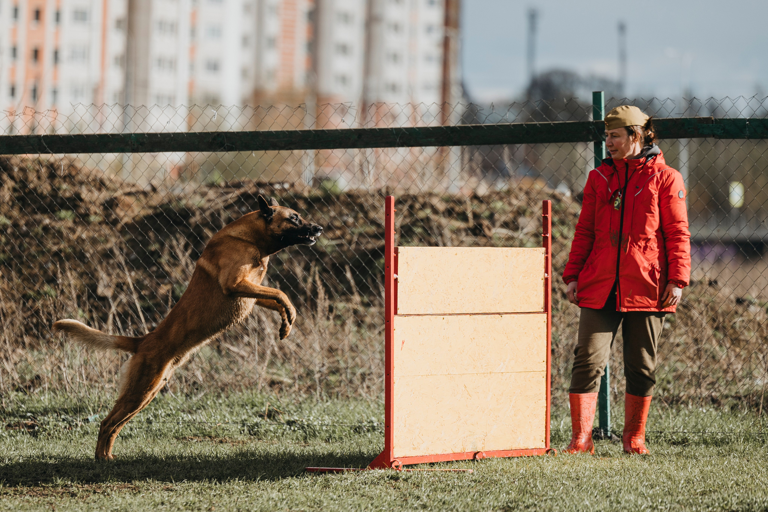 09.05.25 Вологда соревнования. Фотограф-анималист Анна Маринич