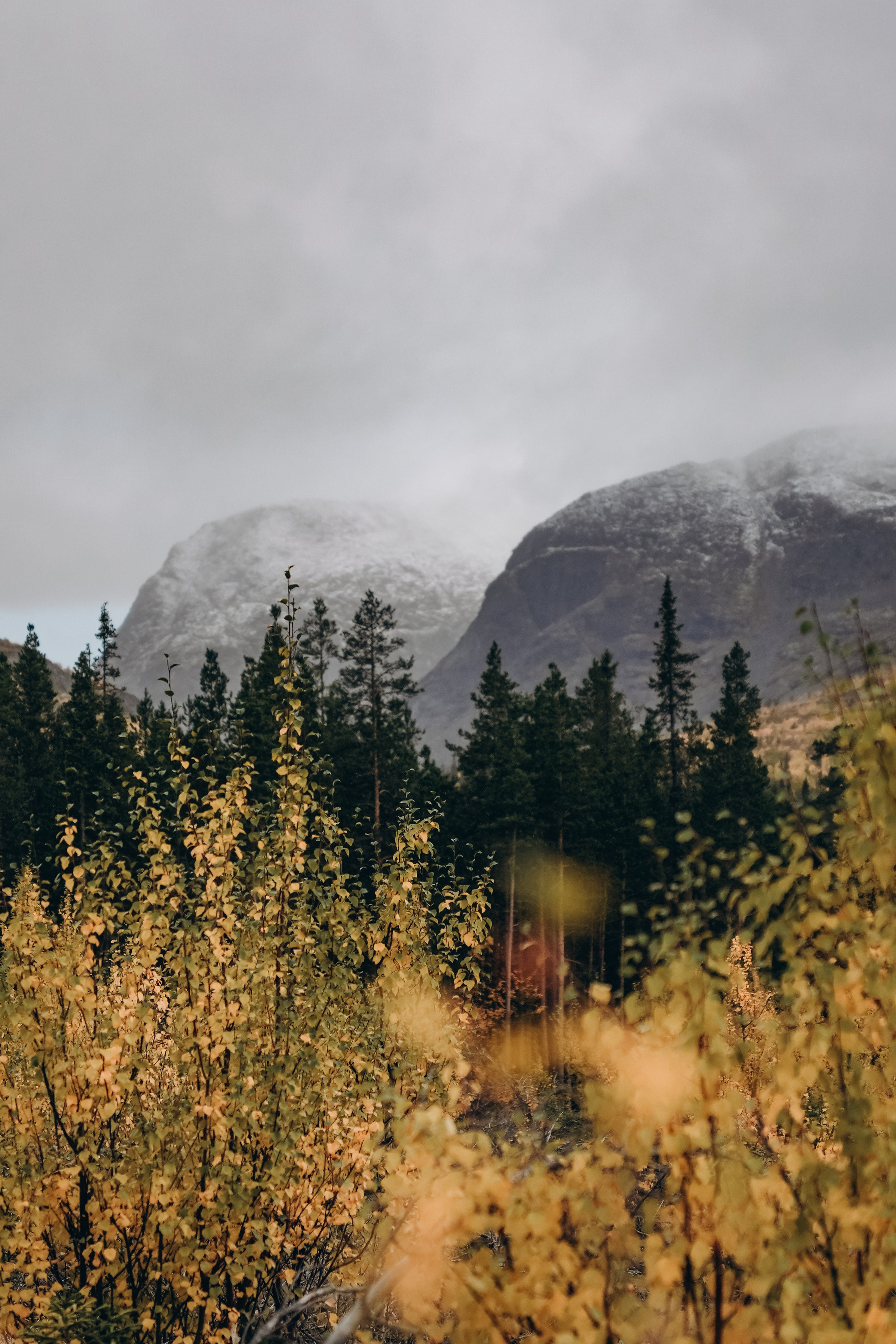 СЕВЕР. Event фотограф Степанова Александра