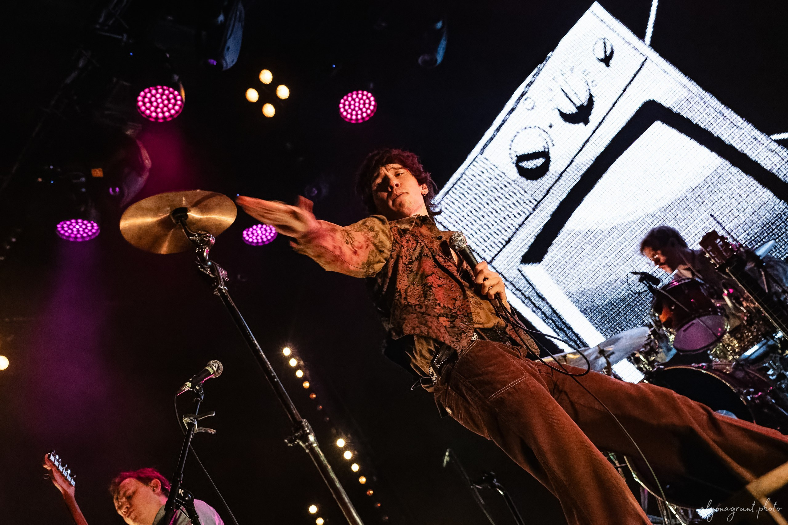 Сова, фоторепортаж, СПб, Космонавт, 18.12.2025. Алена Адрианова: фотограф в Санкт-Петербурге