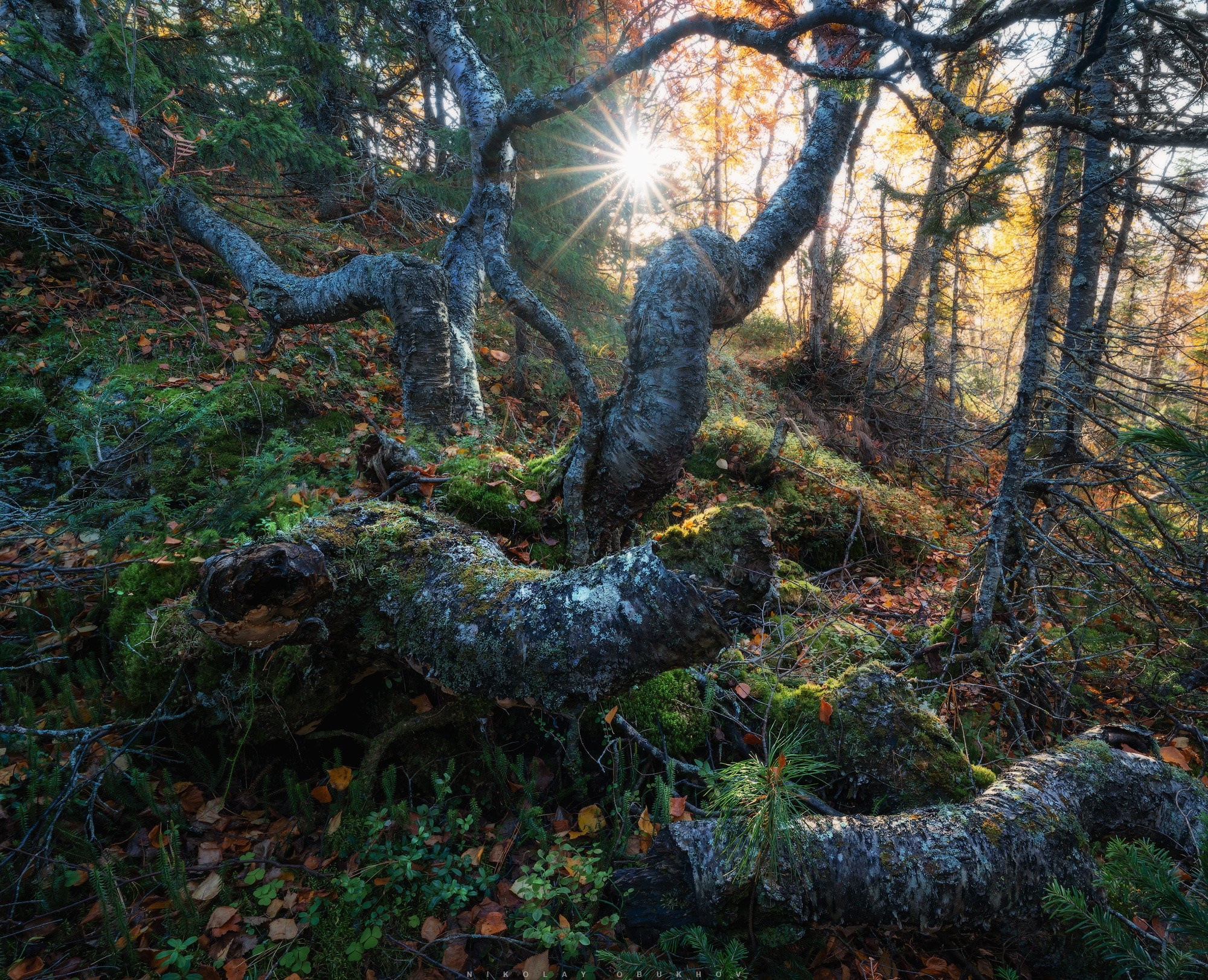 Осенняя природа Северного Урала в окрестностях горы Конжаковский Камень, Свердловская область, Россия.