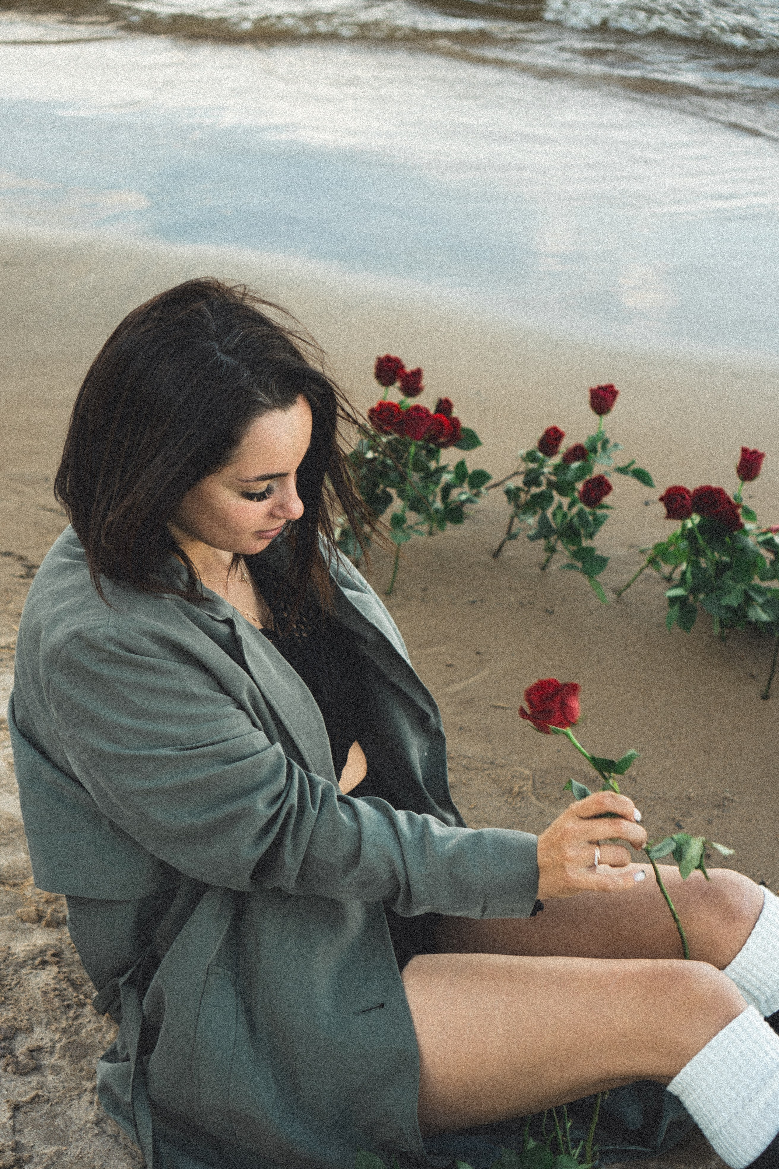 Розы. Профессиональный фотограф, Санкт-Петербург — Виктория Богомолова