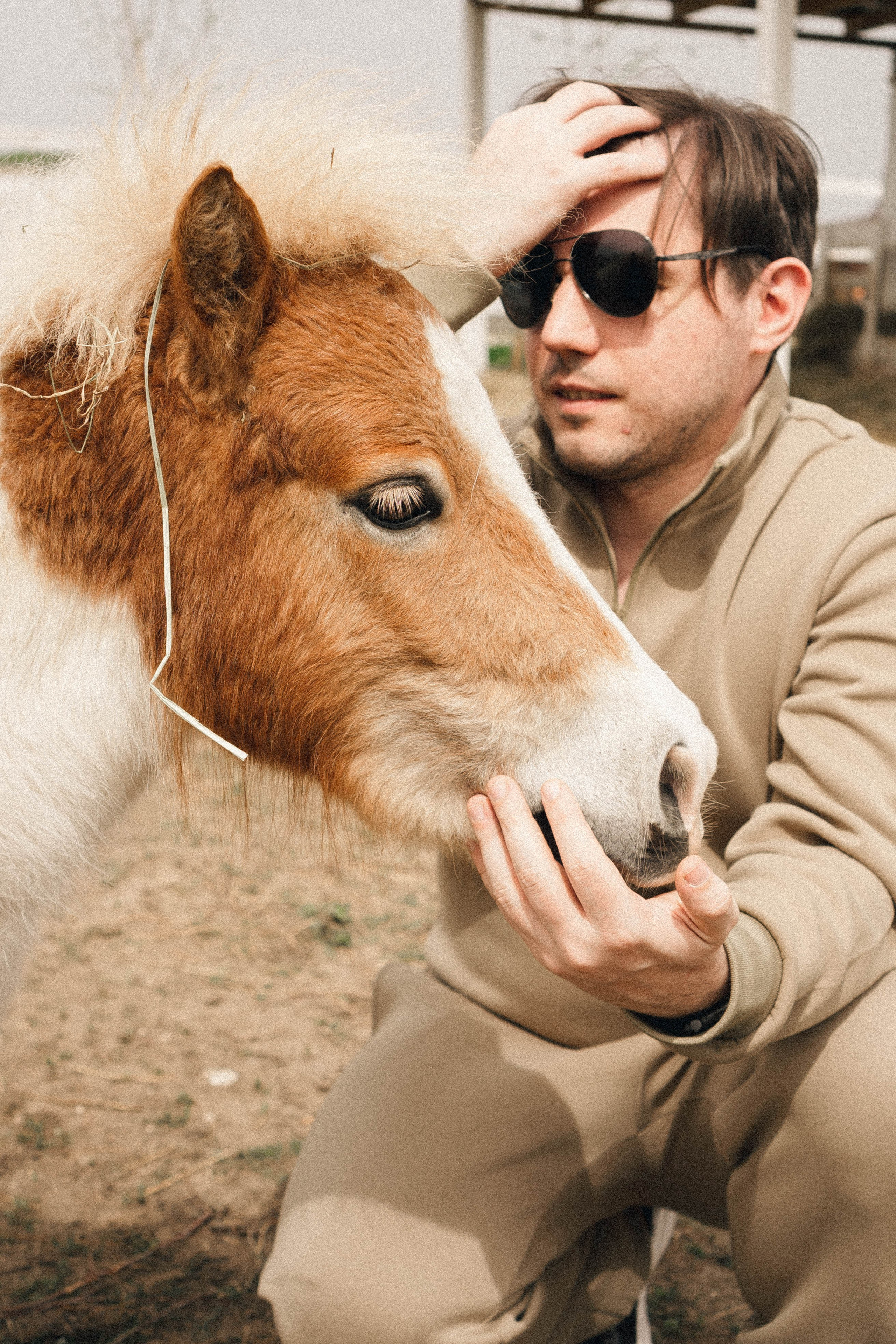 Ферма Альпак. Профессиональный фотограф, Санкт-Петербург — Виктория Богомолова