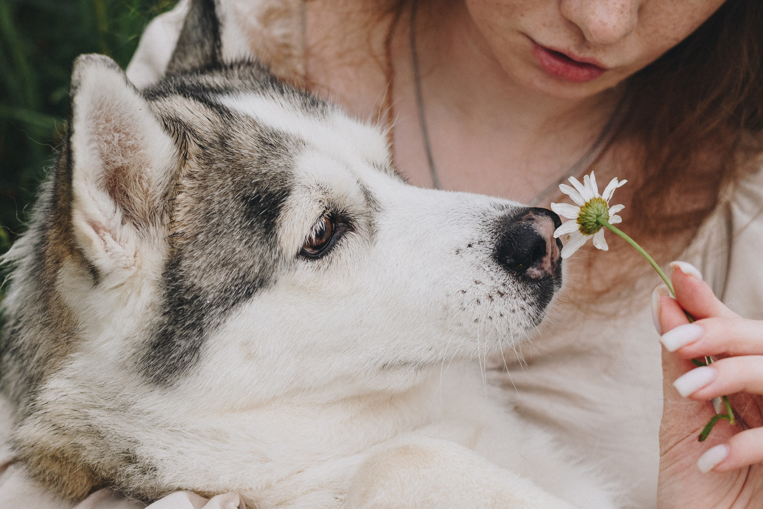 Lilya & Eva. Natalia Finch Photography — Family, Kids & Pet Photographer in Chicago, IL