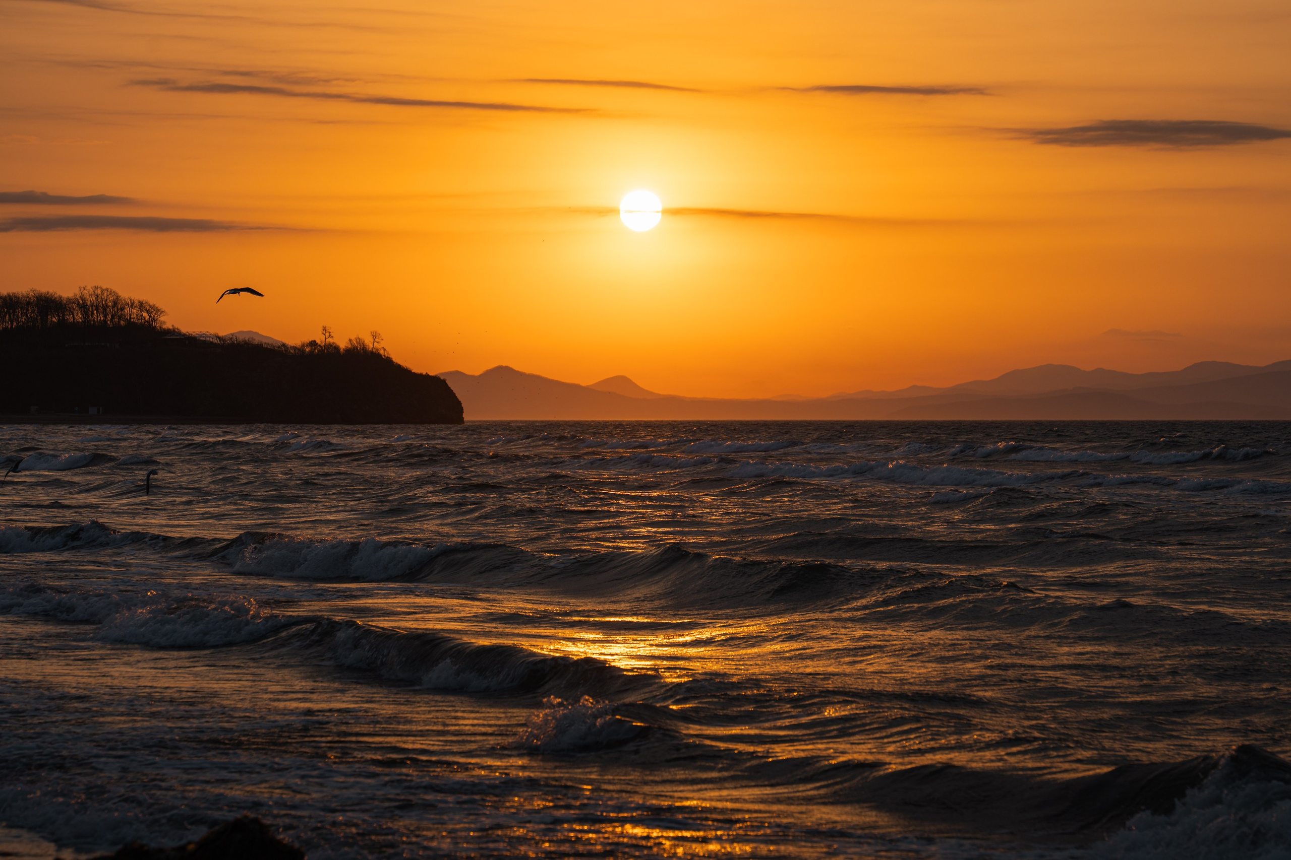 海洋之星酒店. Ivan Zaitsev (IZIART) — 通过照片和视频创建文化代码