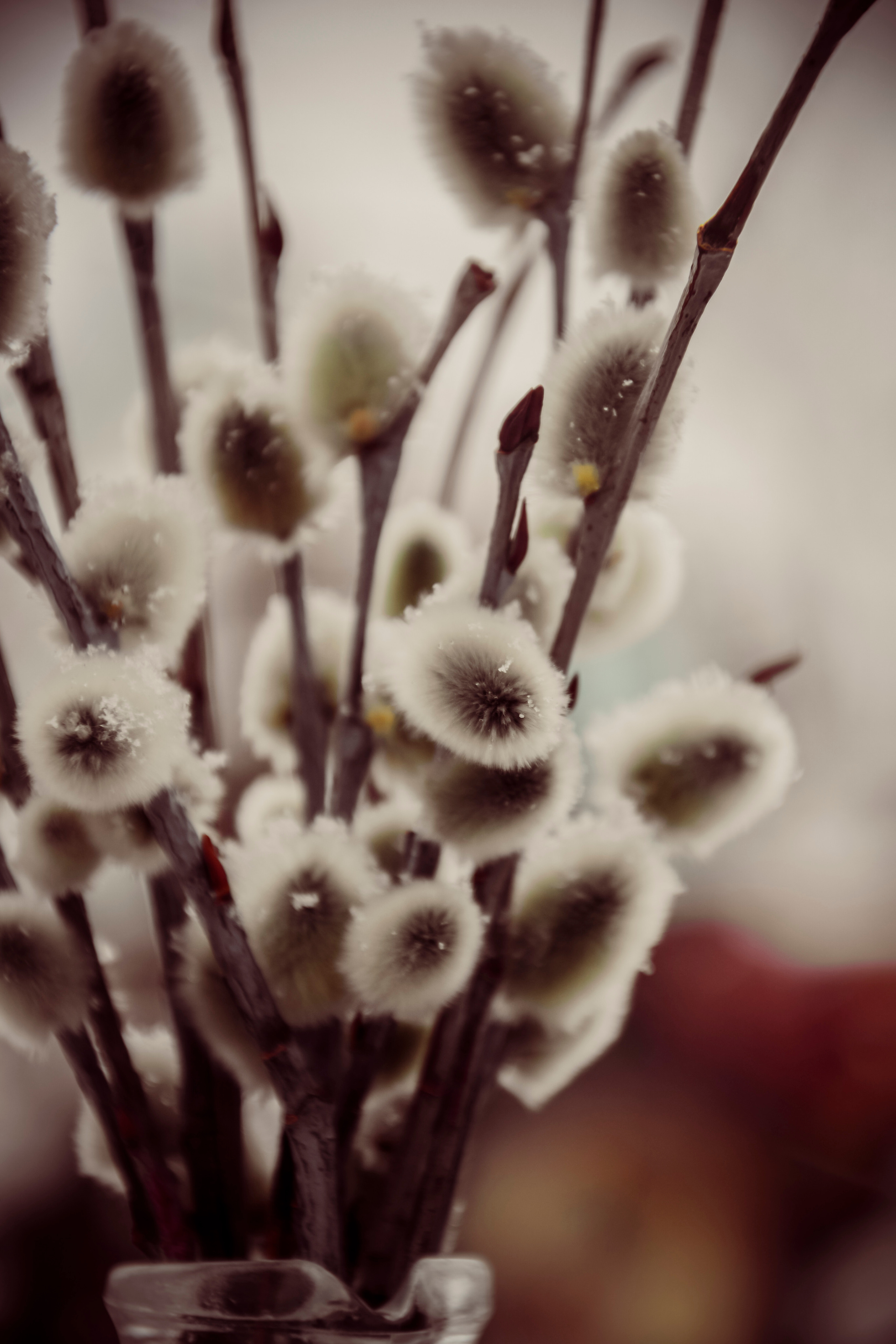 Семейный и детский фотограф в Комсомольске на амуре Мокренко Елена