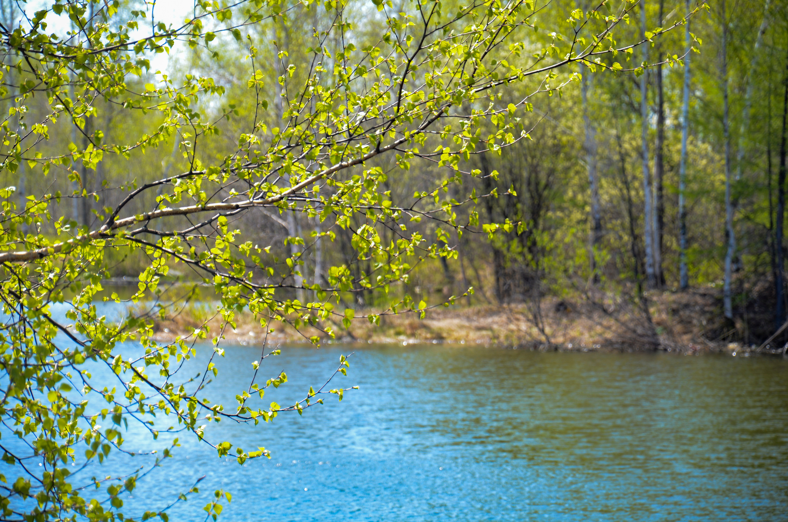Семейный и детский фотограф в Комсомольске на амуре Мокренко Елена