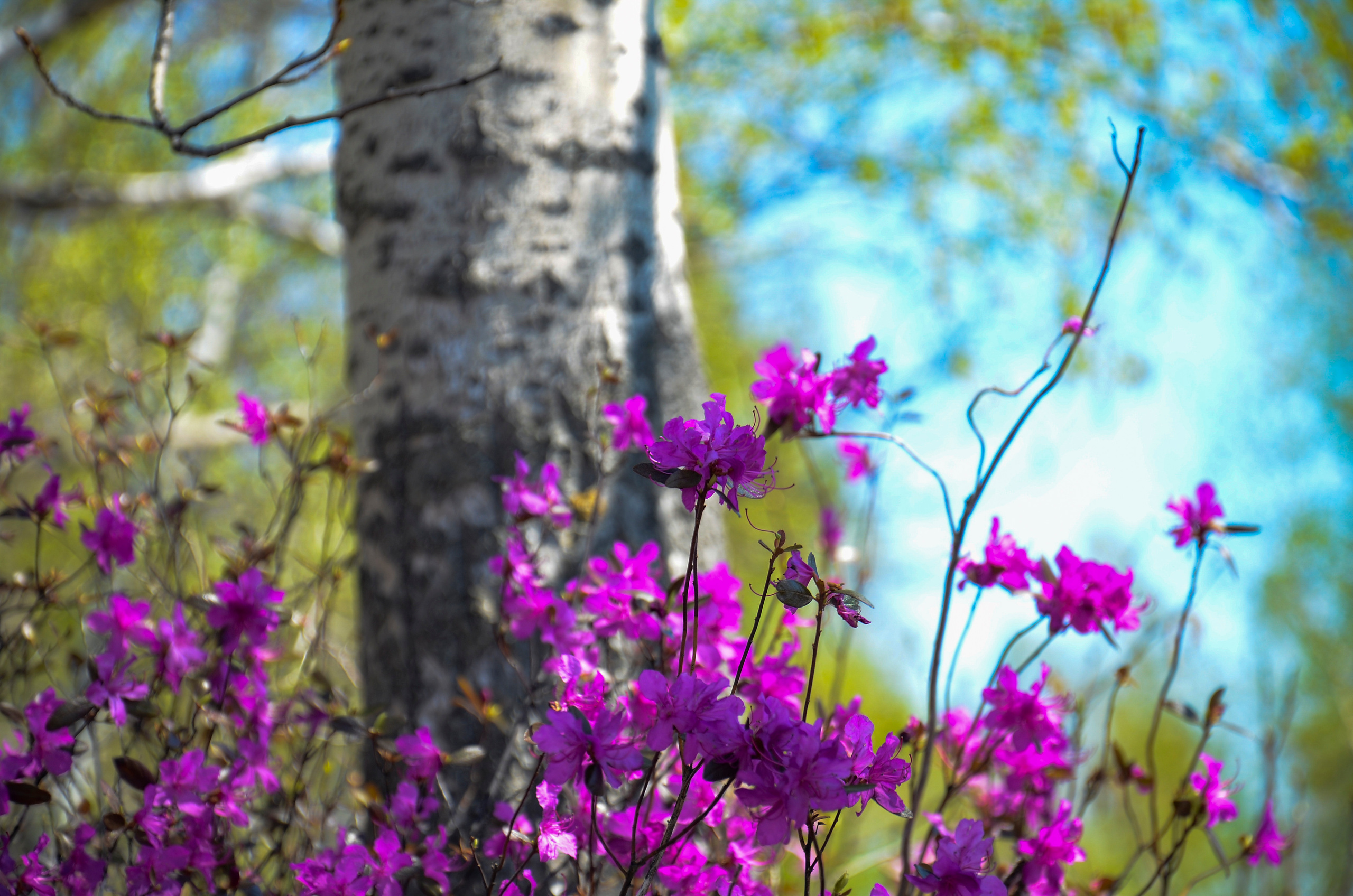 Семейный и детский фотограф в Комсомольске на амуре Мокренко Елена