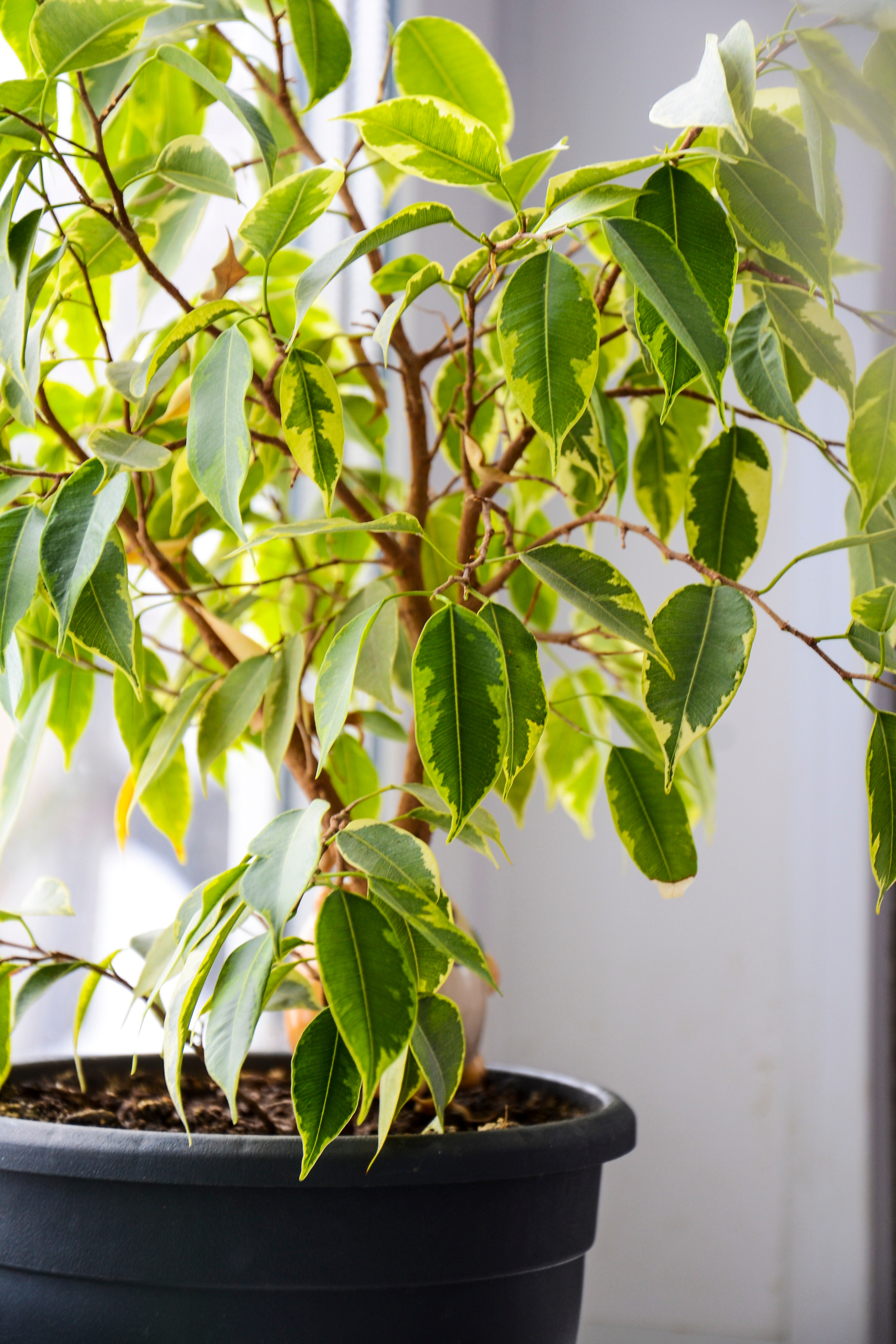 Семейный и детский фотограф в Комсомольске на амуре Мокренко Елена