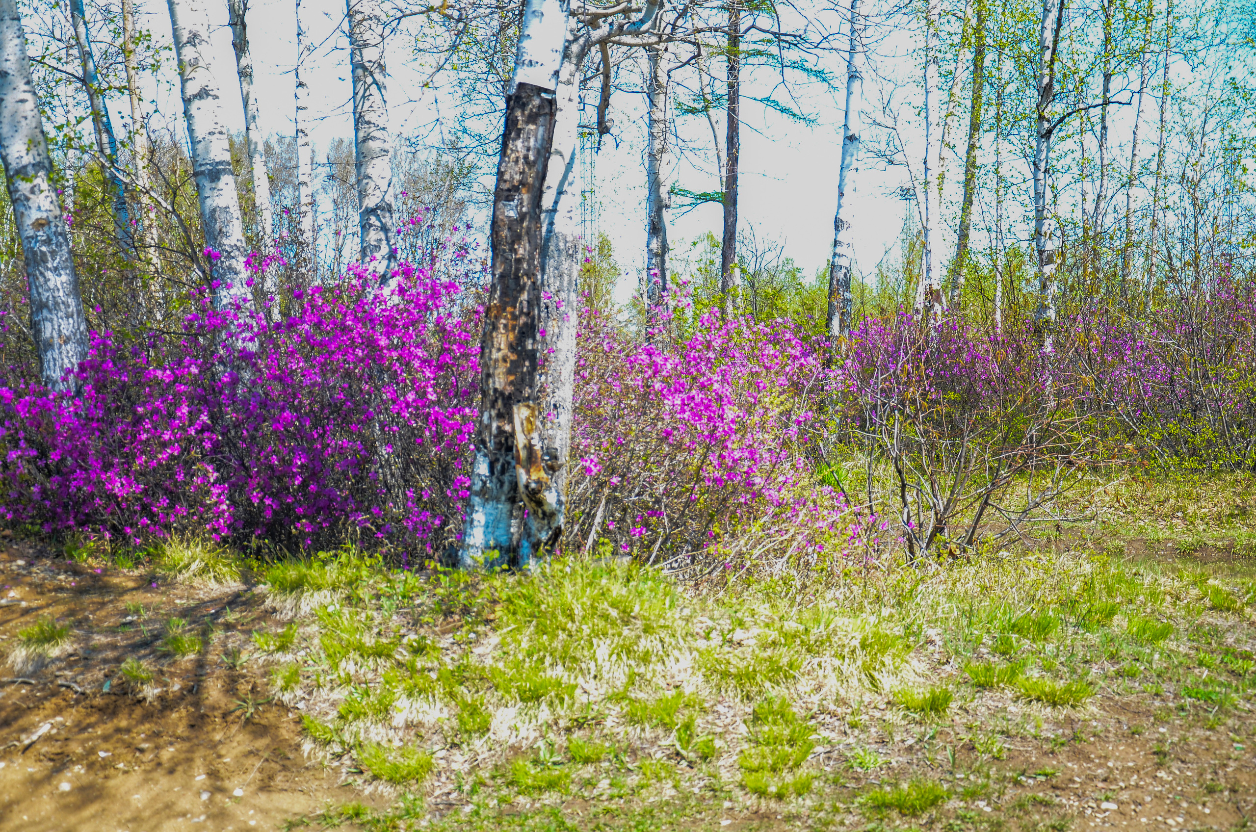 Семейный и детский фотограф в Комсомольске на амуре Мокренко Елена