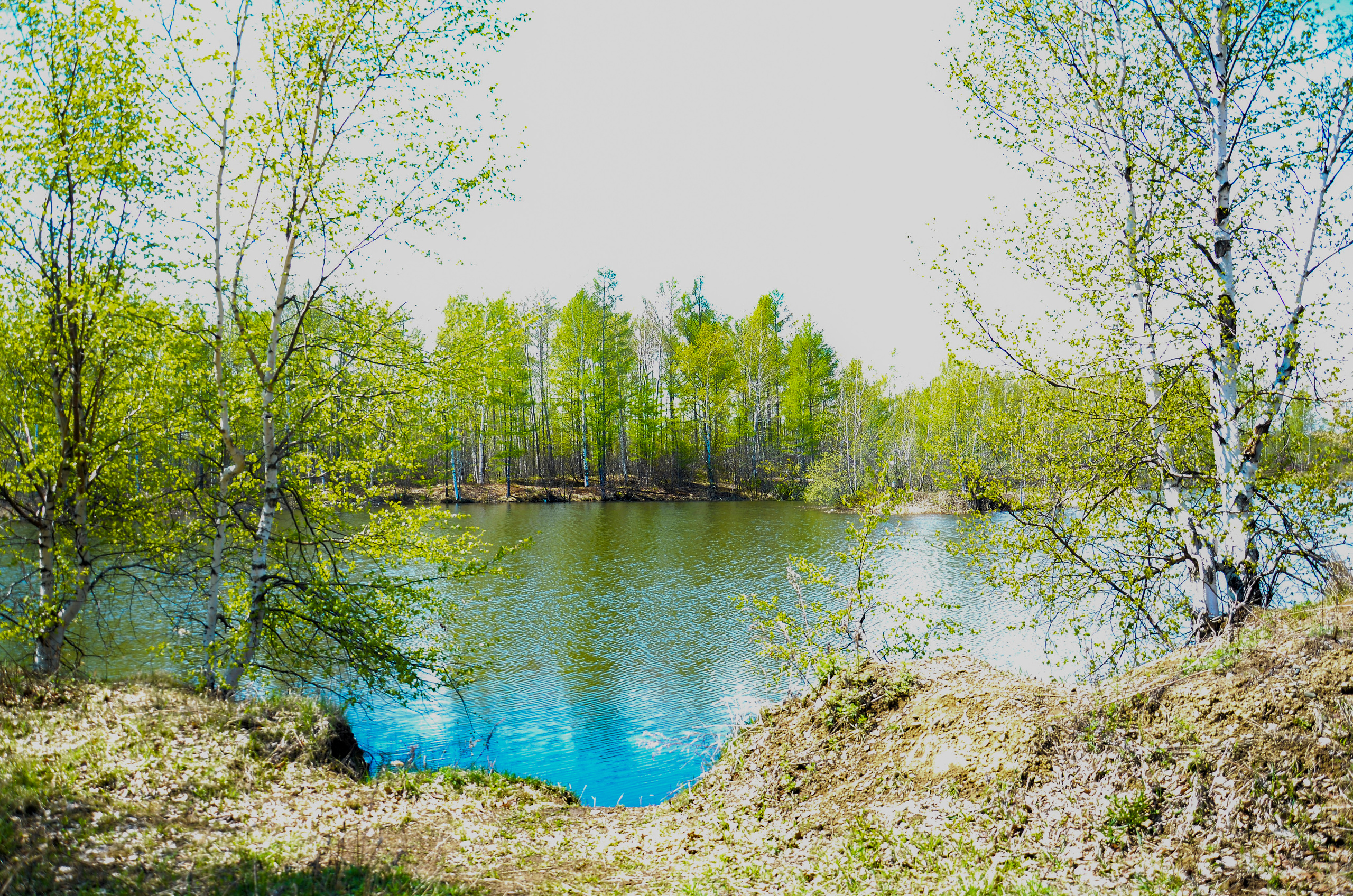 Семейный и детский фотограф в Комсомольске на амуре Мокренко Елена