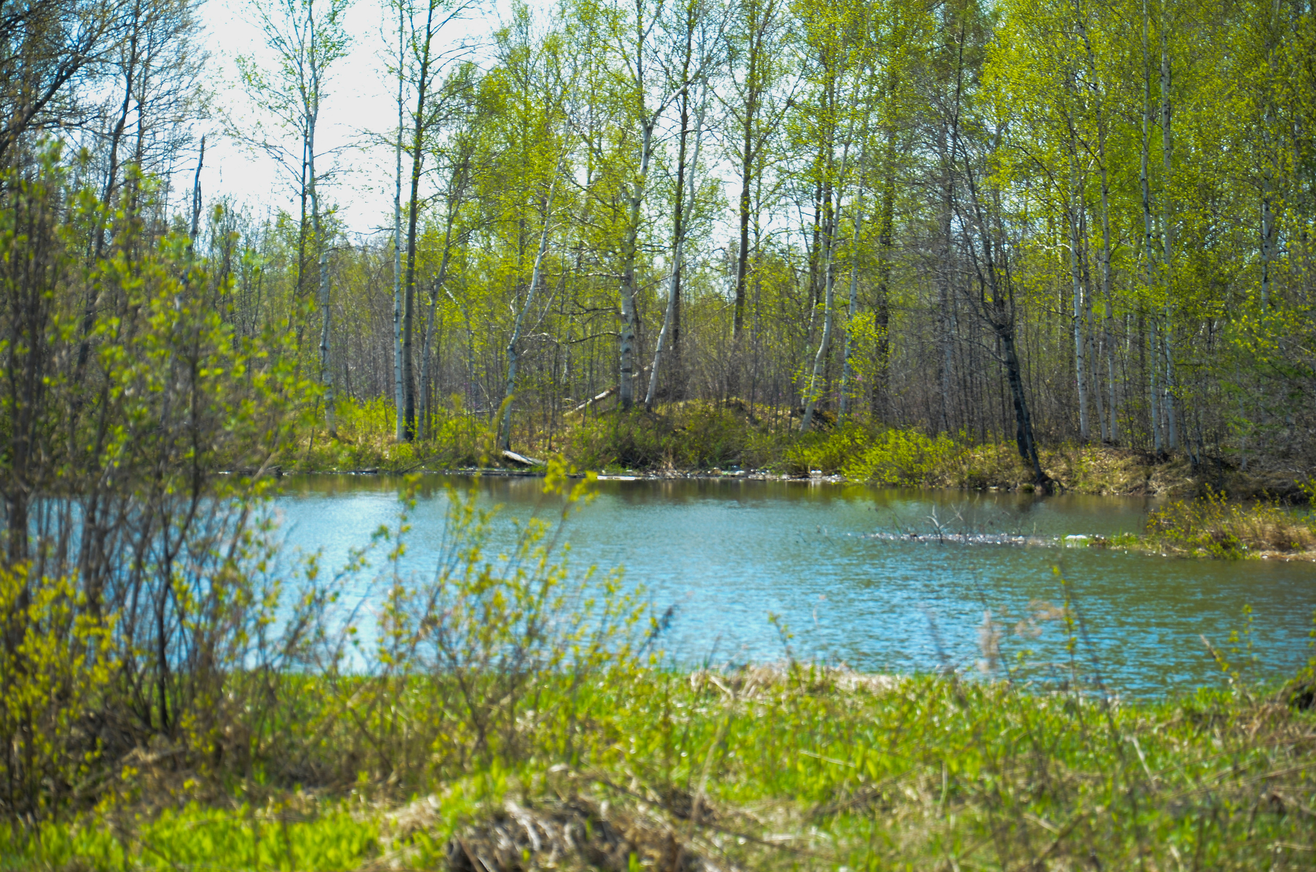 Семейный и детский фотограф в Комсомольске на амуре Мокренко Елена
