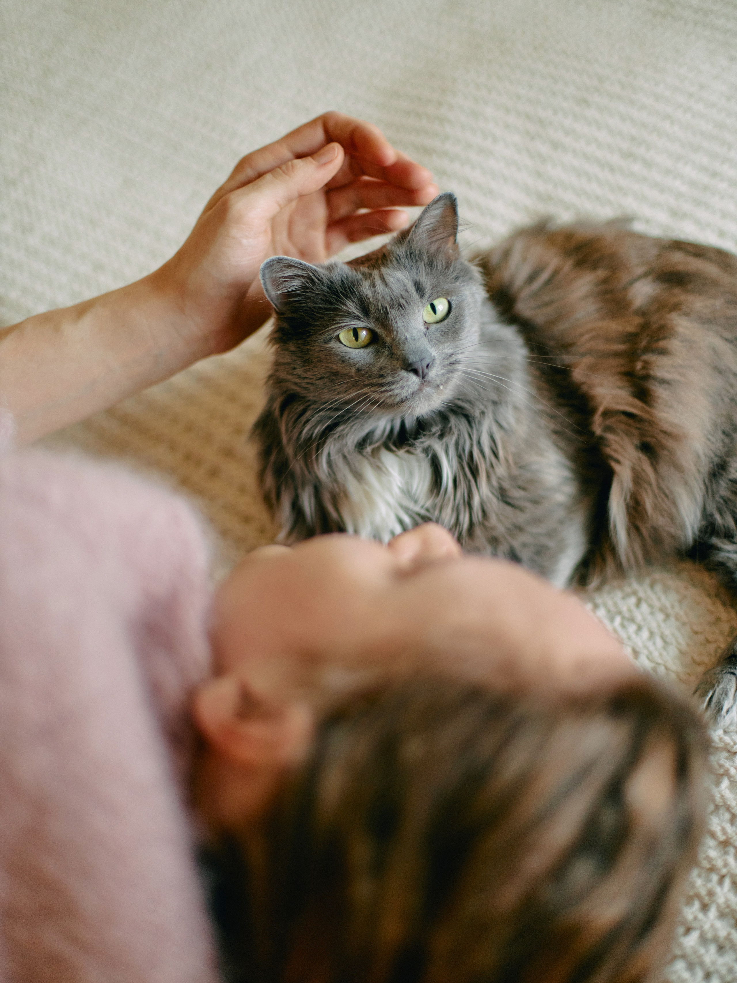 Аленка. Профессиональный Фотограф во Владимире, в Москве и в Суздале — Полина Романычева