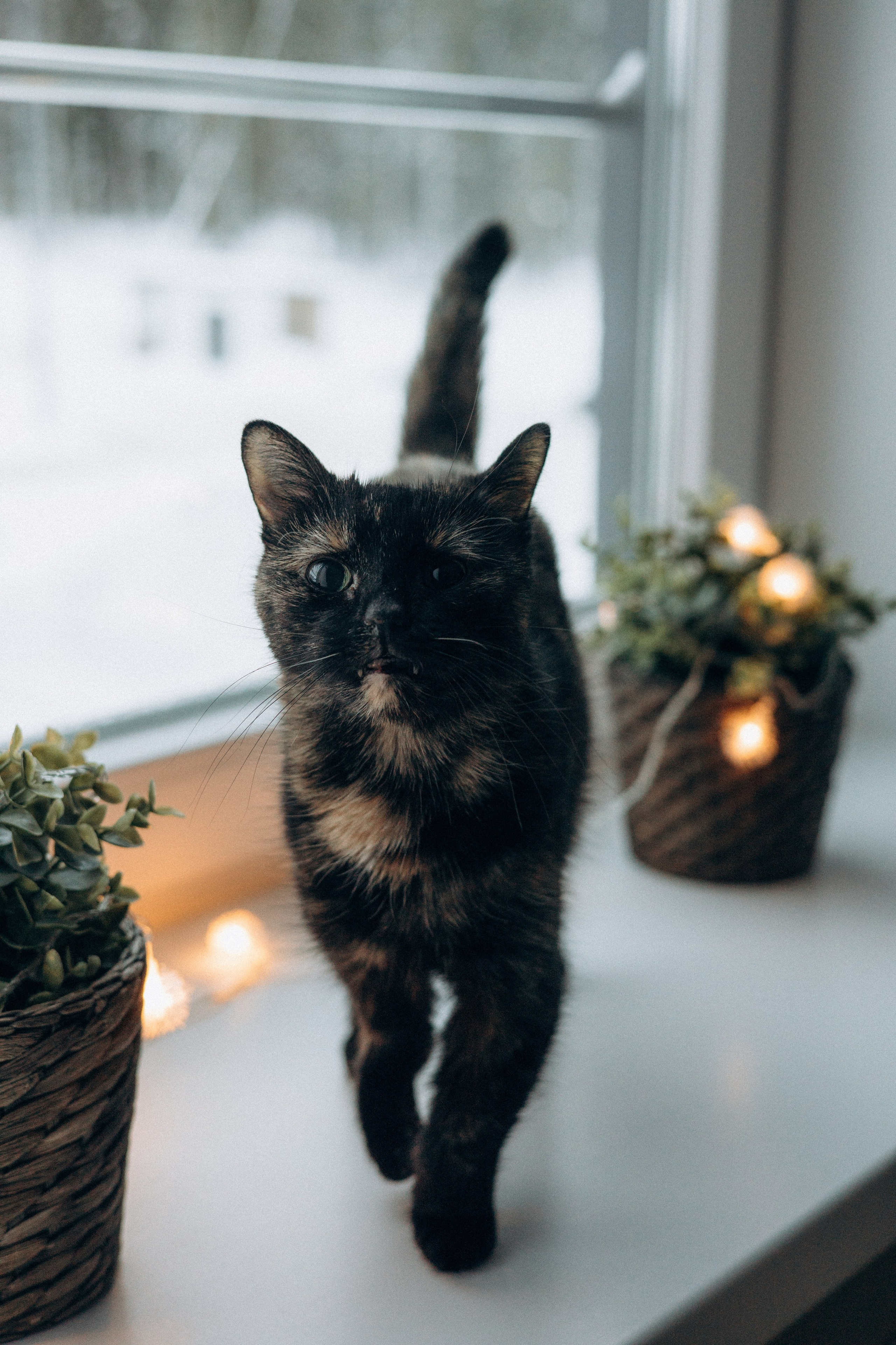 Feedback. Снимаю истории про вас. Фотограф Наталья Кац