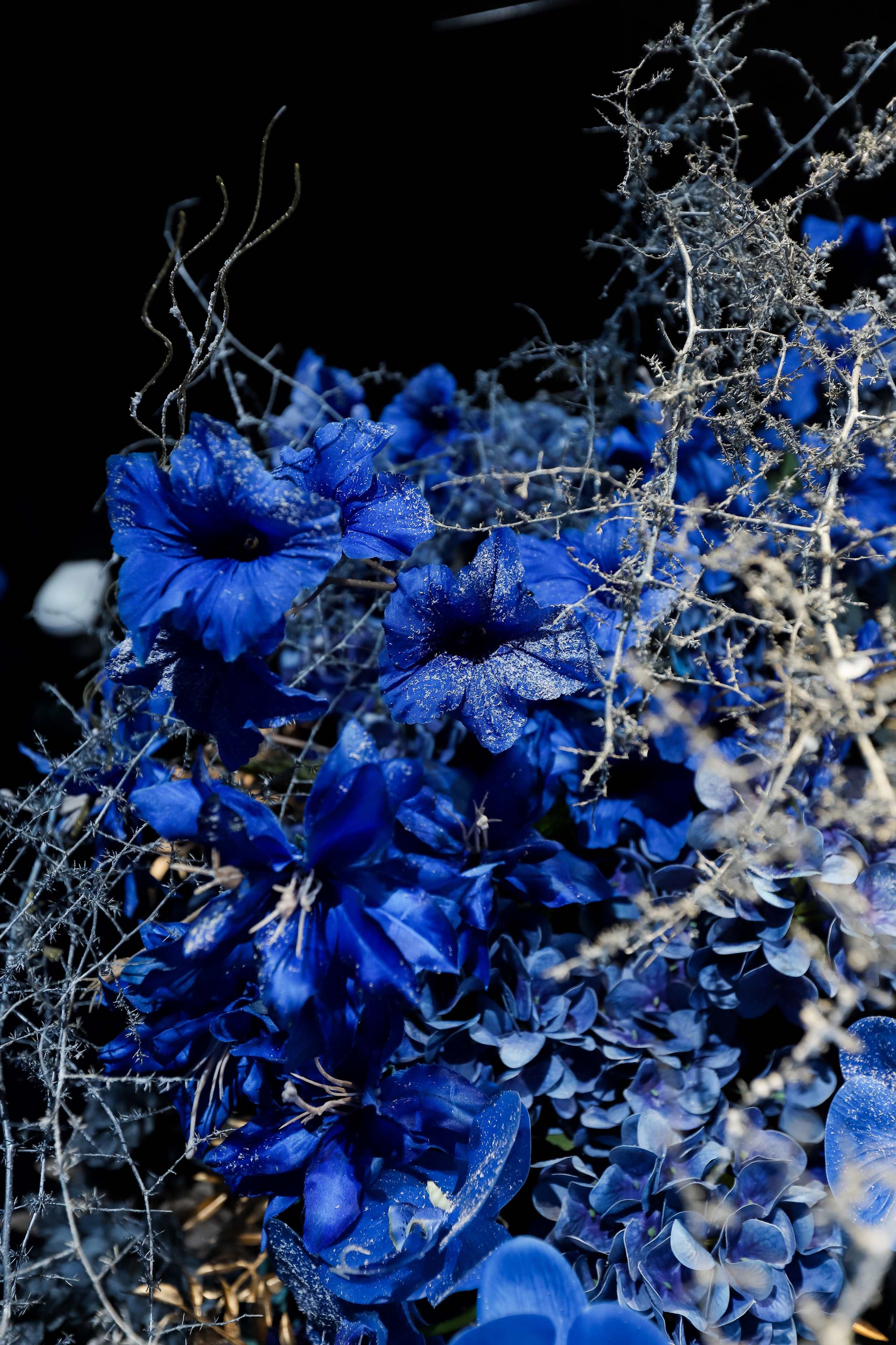 Tony Montana. Фотограф в Краснодаре Анна Светикова