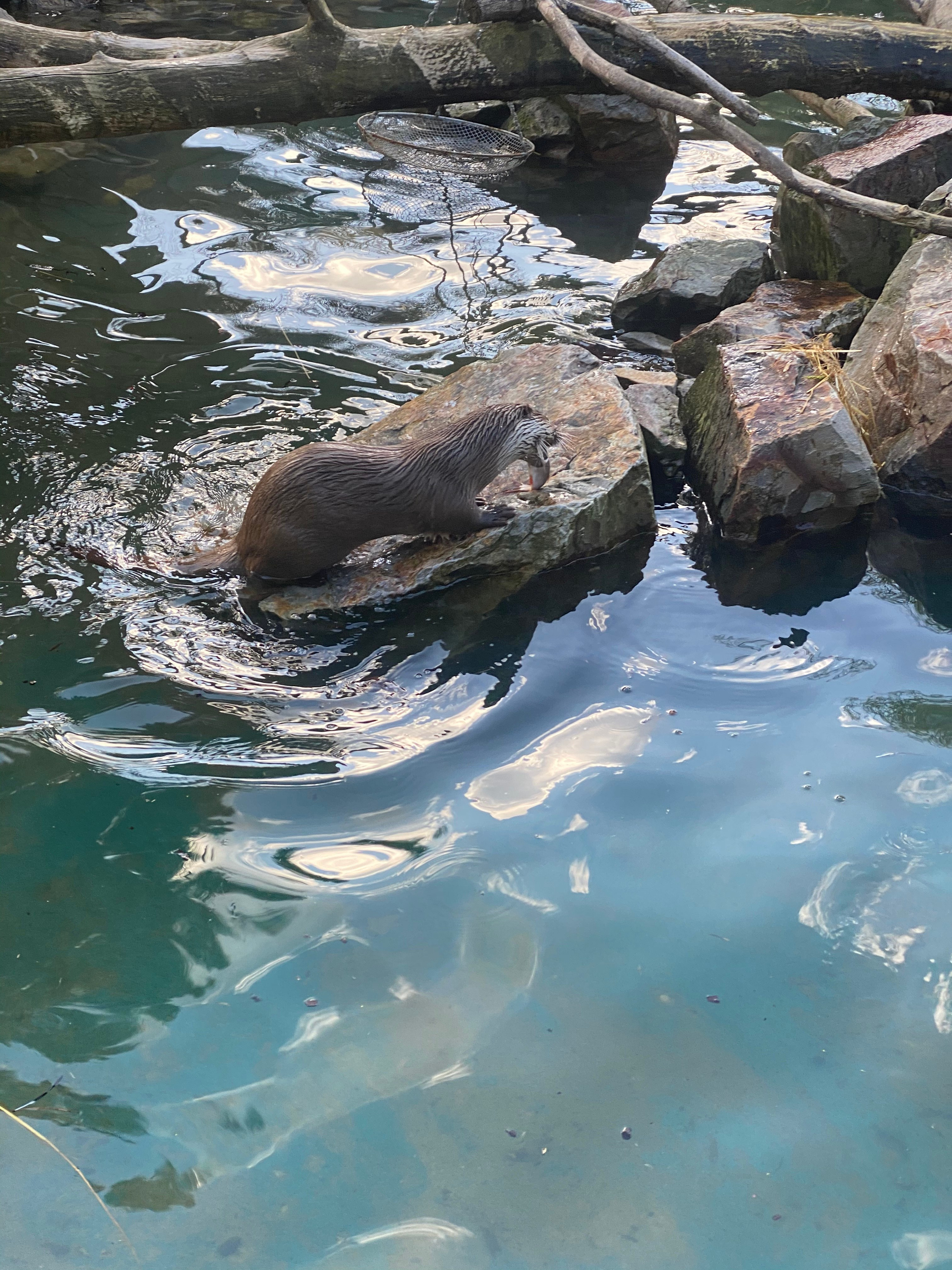 Варшава — 21. Своя Мастерская