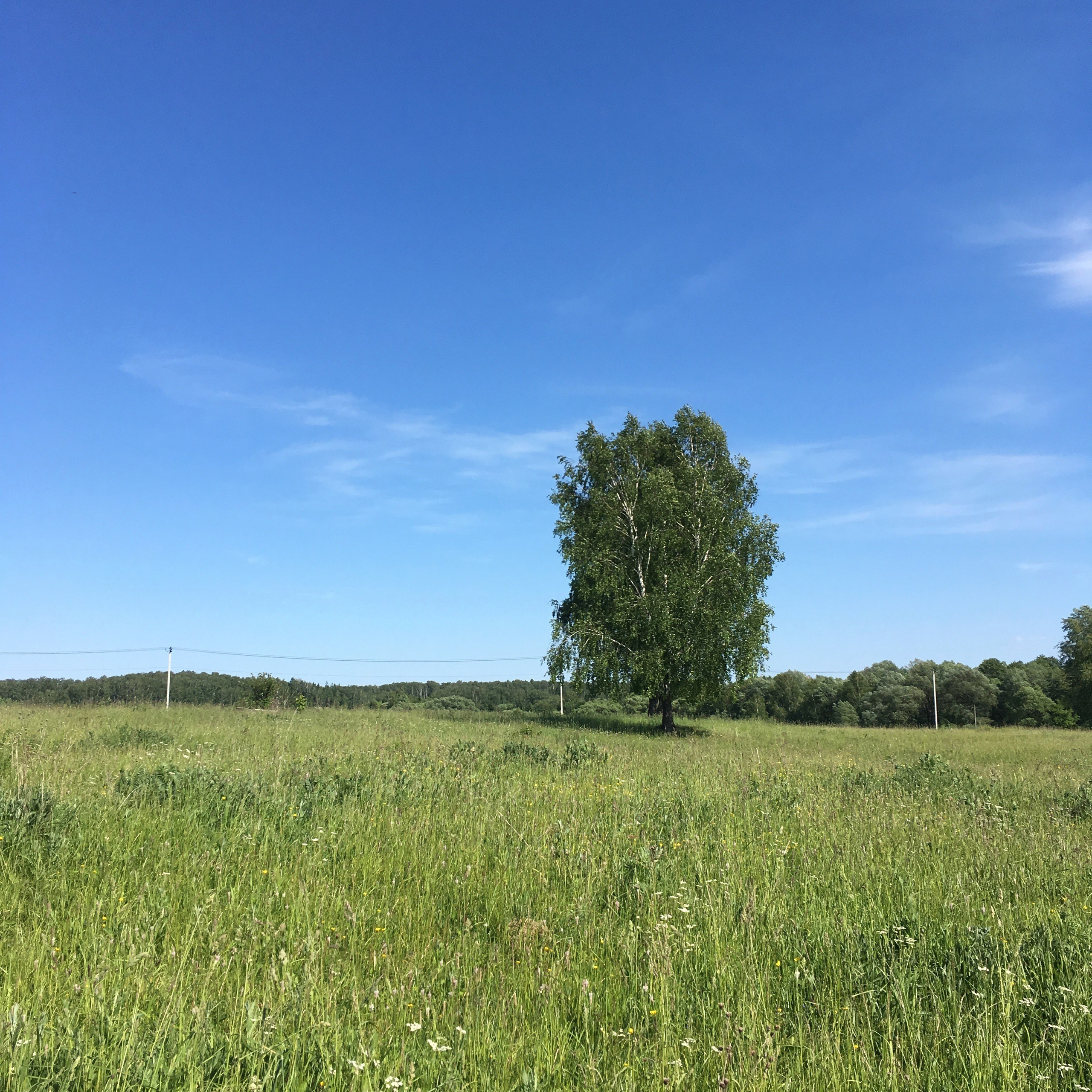 Молоди-19. Своя Мастерская