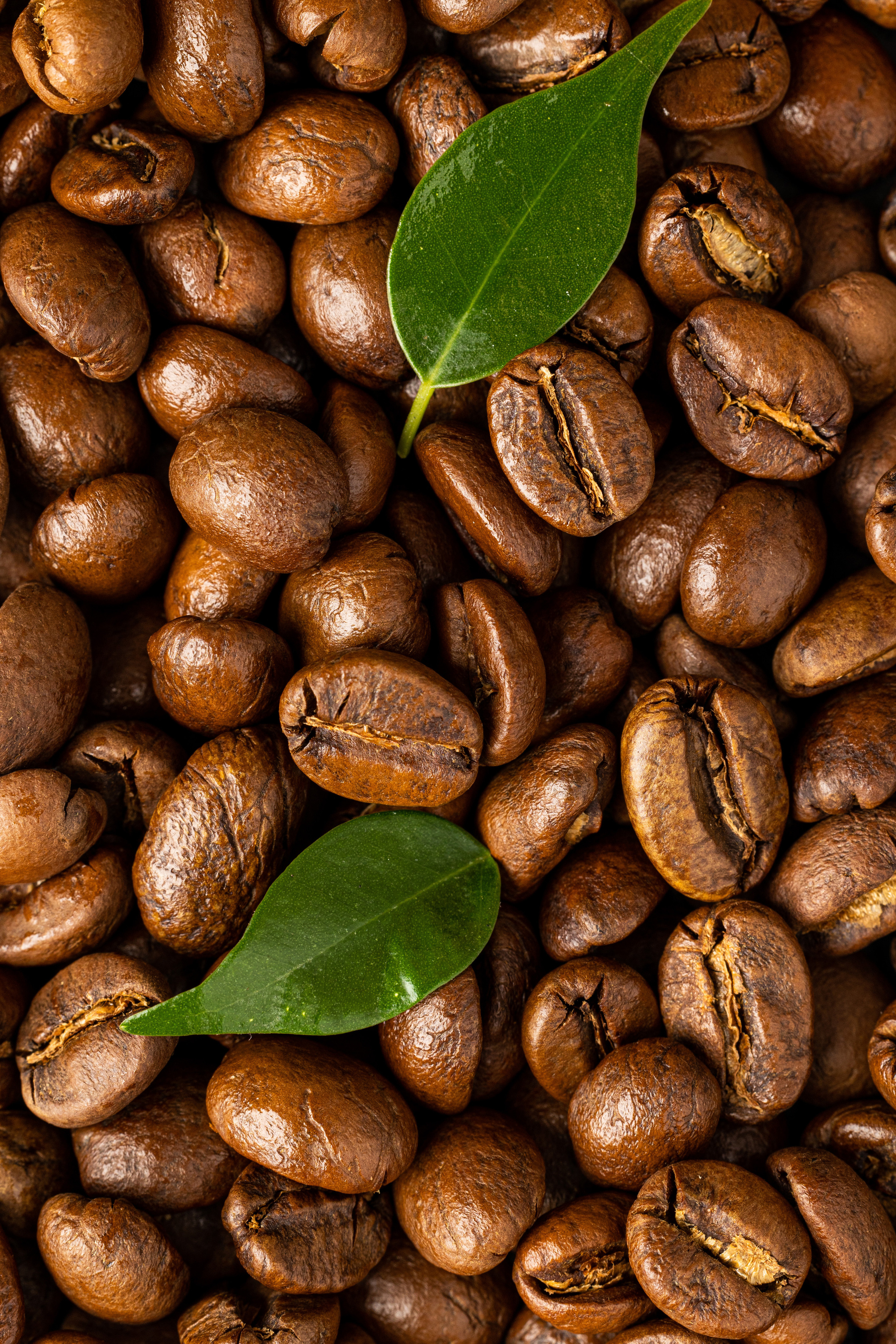 Обучение фуд и предметной съемке