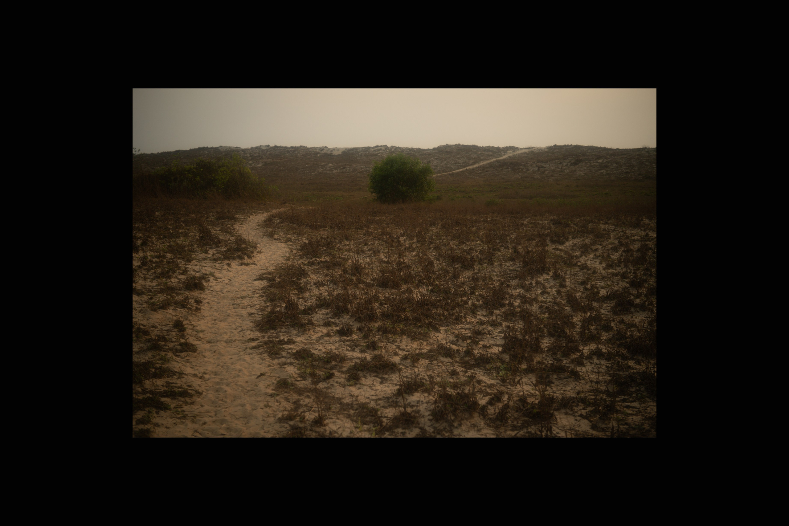 Вдохнуть небо. Сайт Фотографа MASHASOLAR