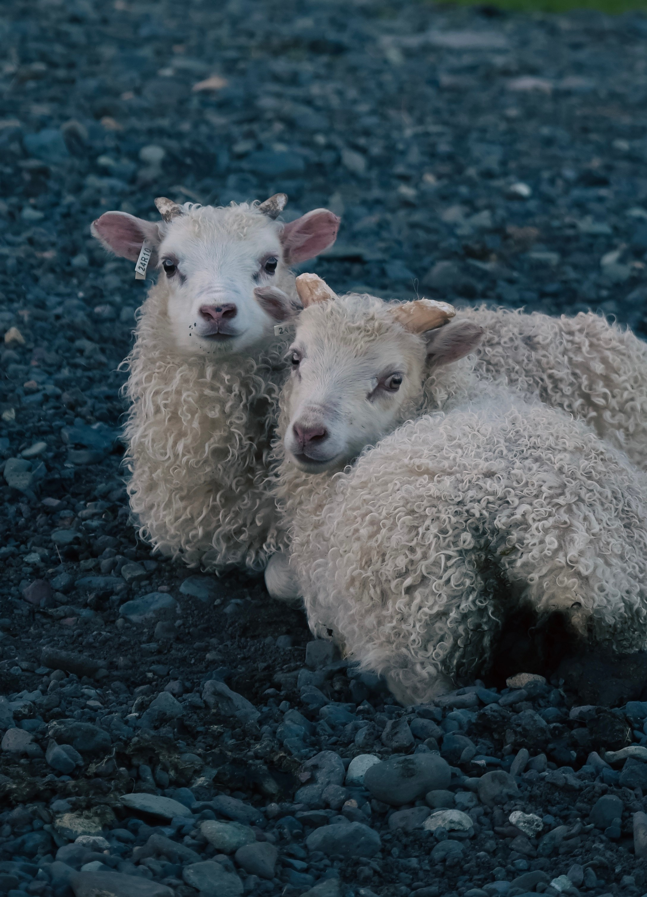 Iceland. Photographer