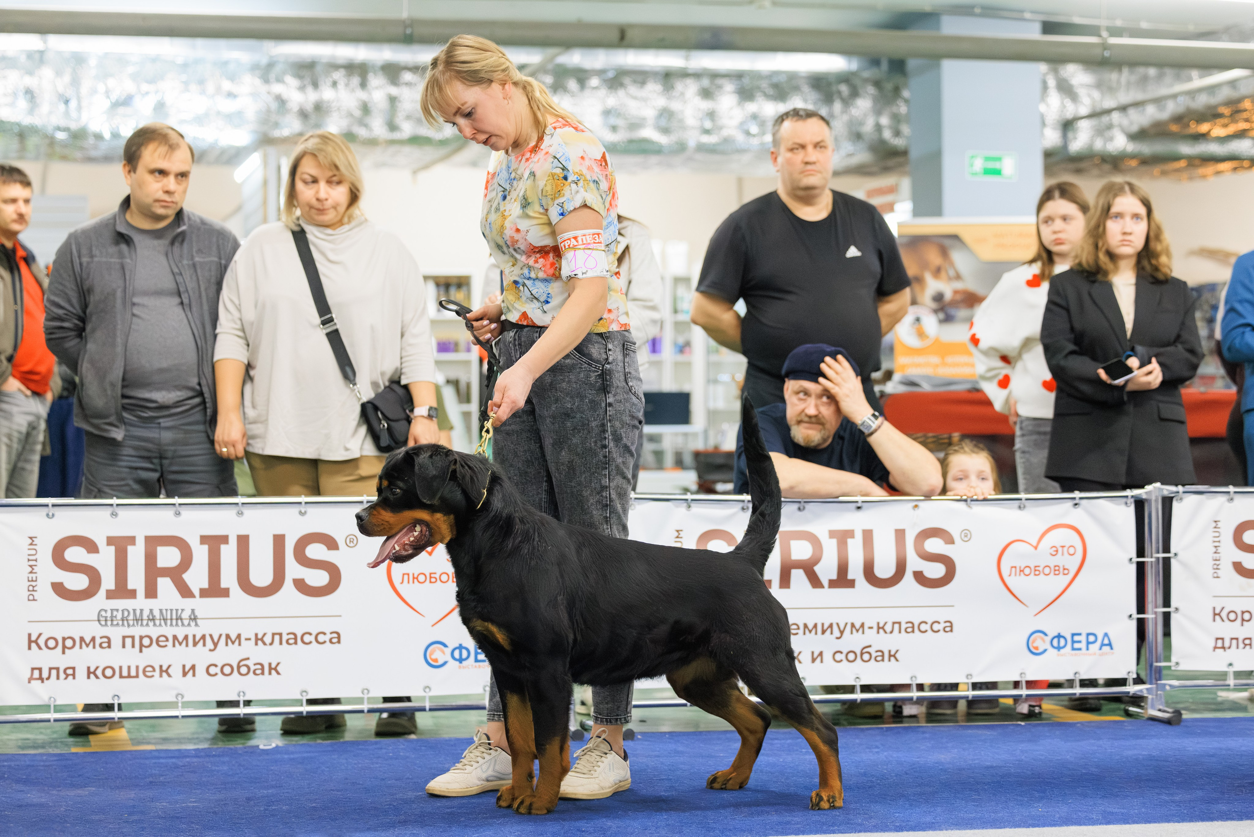 Сфера 08 и 10.03.2024 2хмоно ротвейлеров+2хмоно сао. Фотограф-анималист Юлия Германика