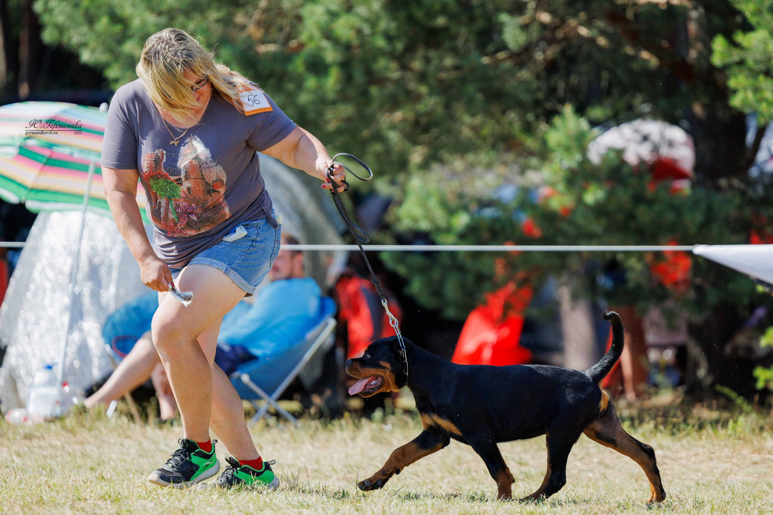 ПК и КЧК ротвейлеры Тверь 6-7.07.2024. Фотограф-анималист Юлия Германика