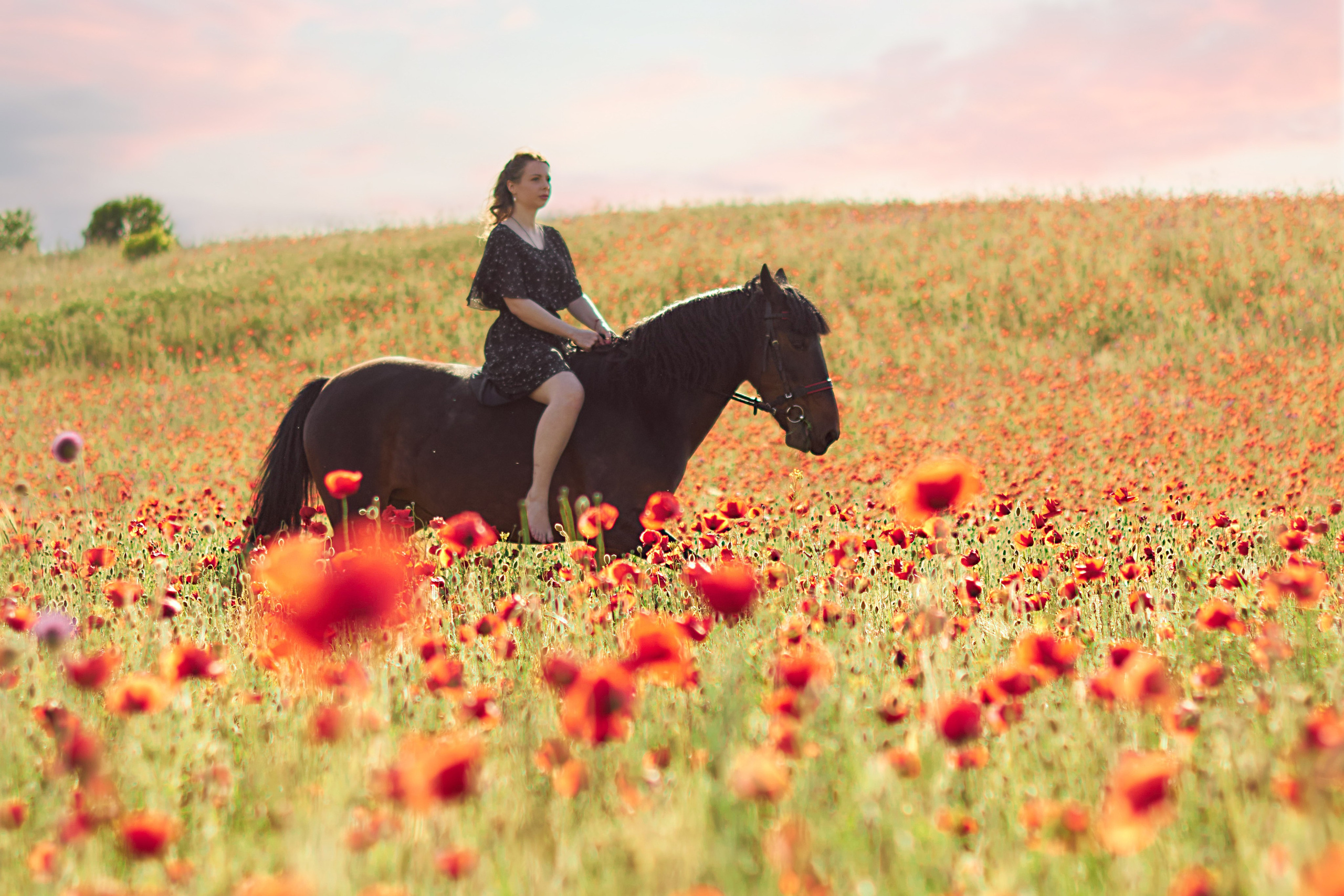 Фотосессия с лошадью Севастополь. Фотограф в Севастополе