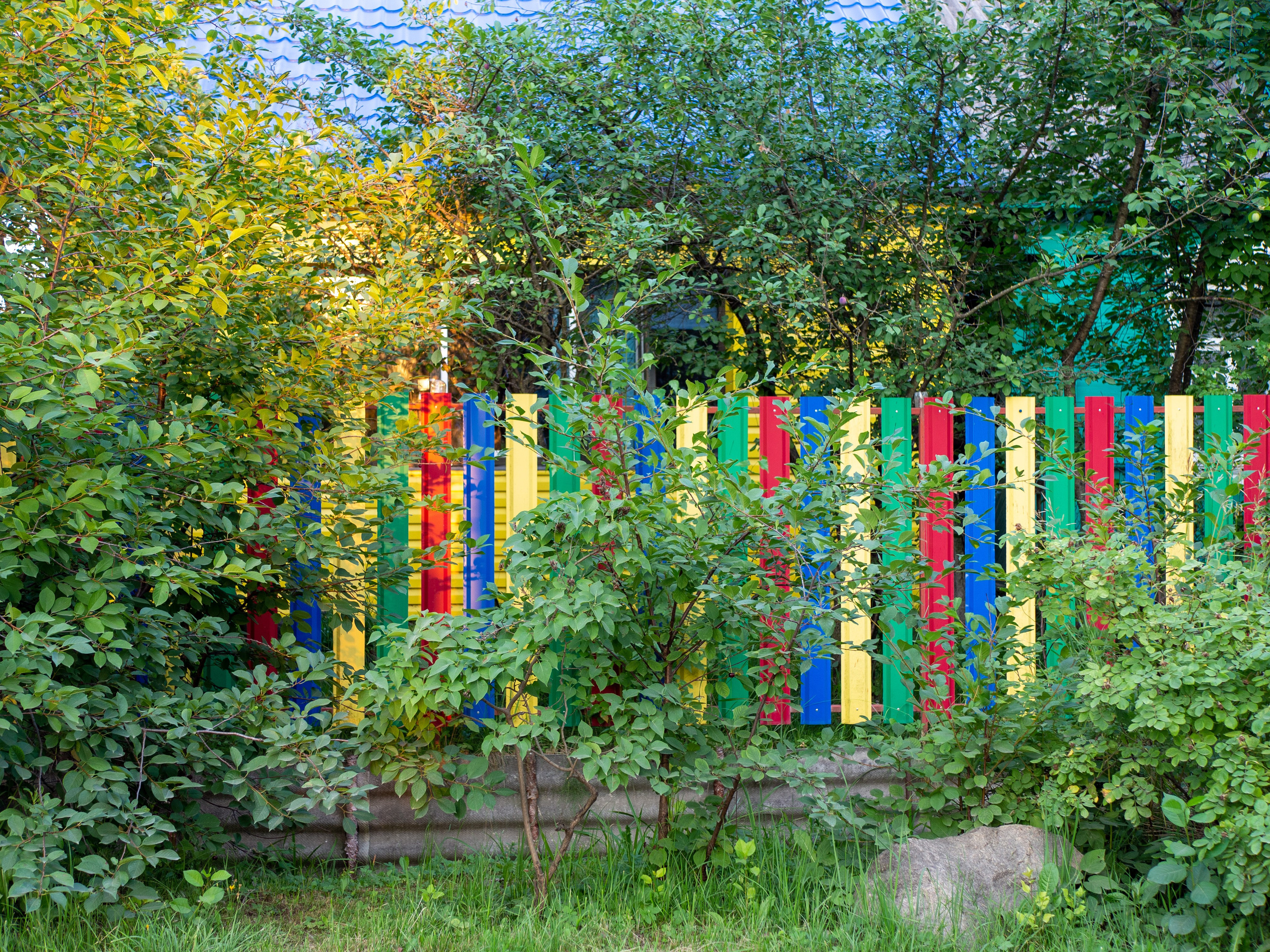 20220805 Старица и Тверь. Дмитрий Ремизов. Фотография, как хобби