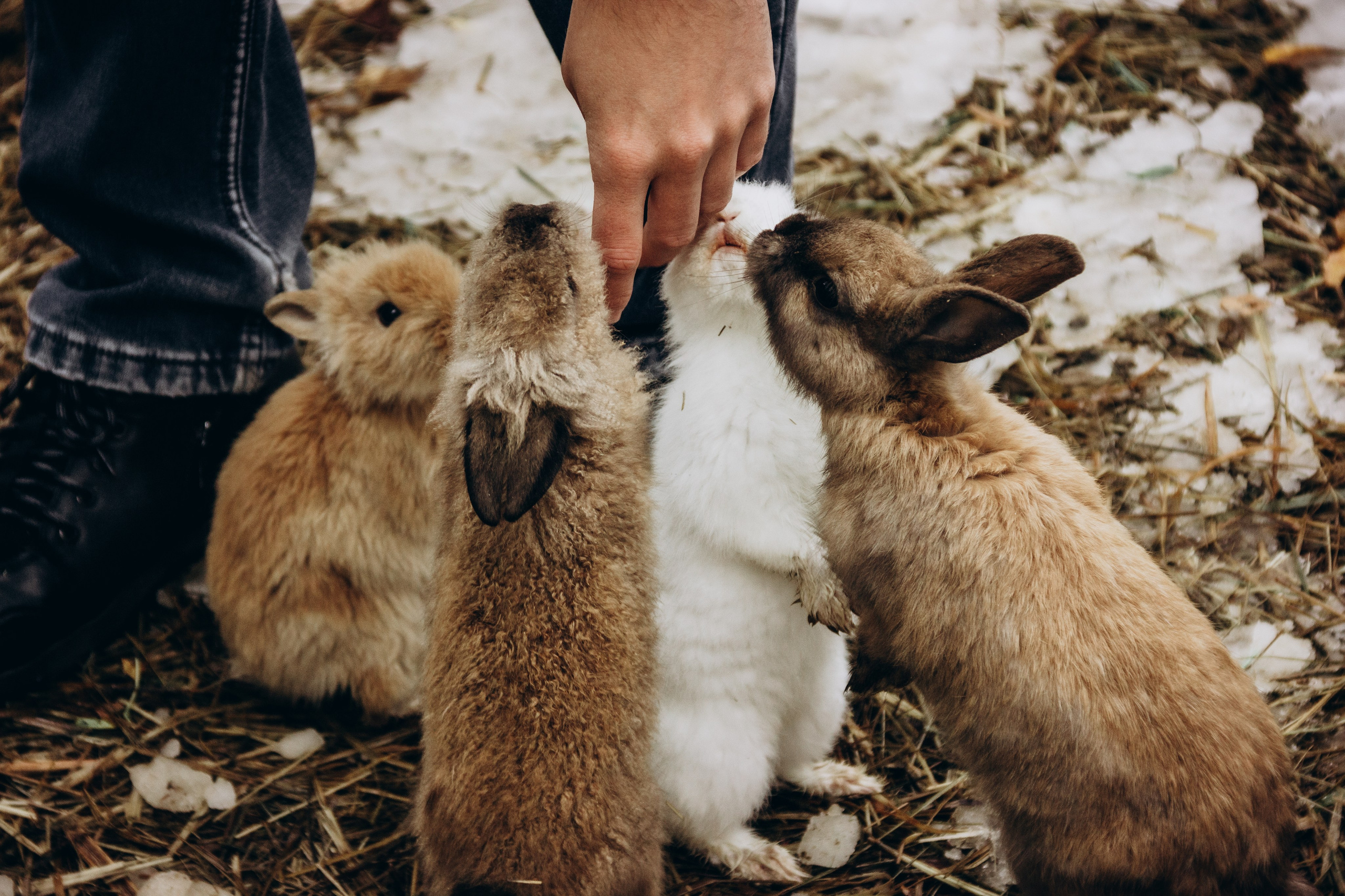 Домбай. Мария Трут. Фотограф