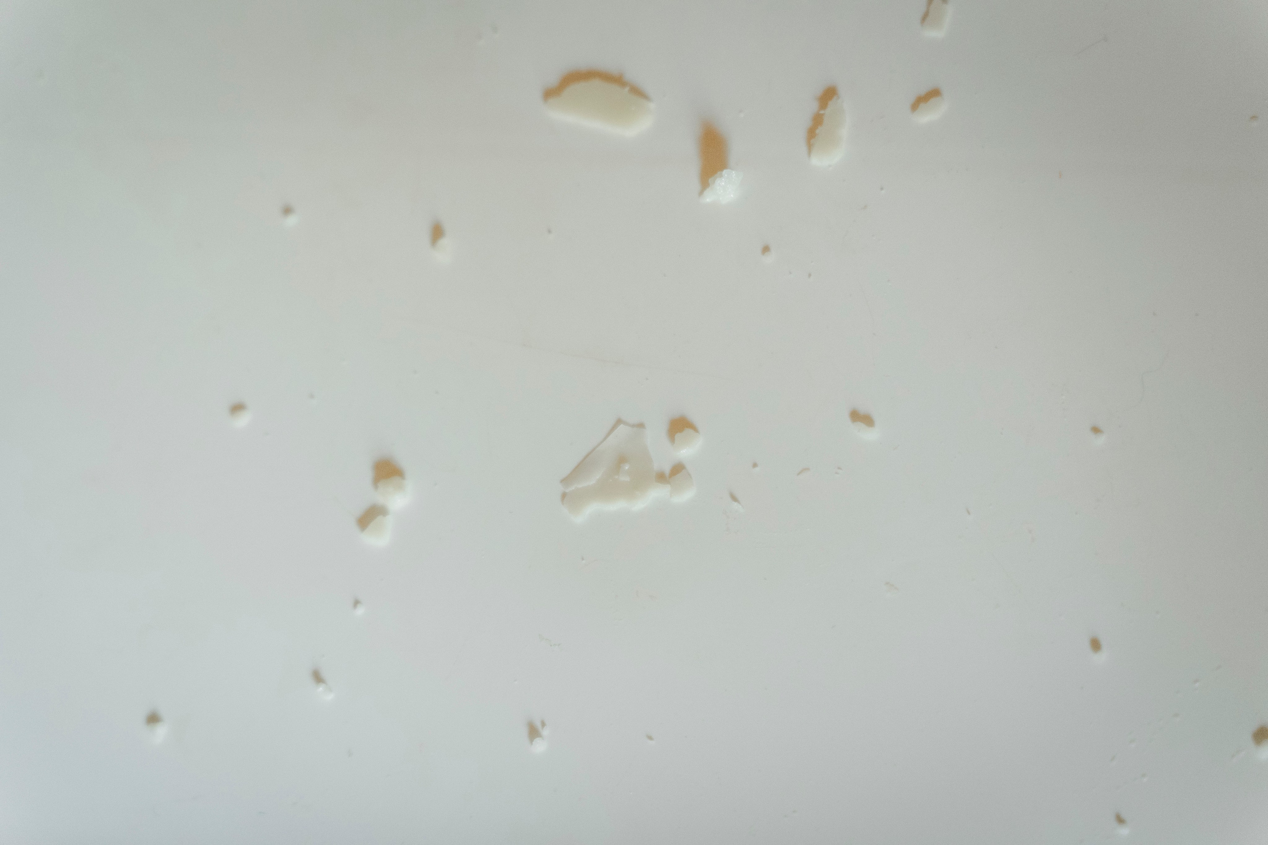 Молчановы. Многолетний проект о молодой семье. Фотограф в Москве Савкина Евгения