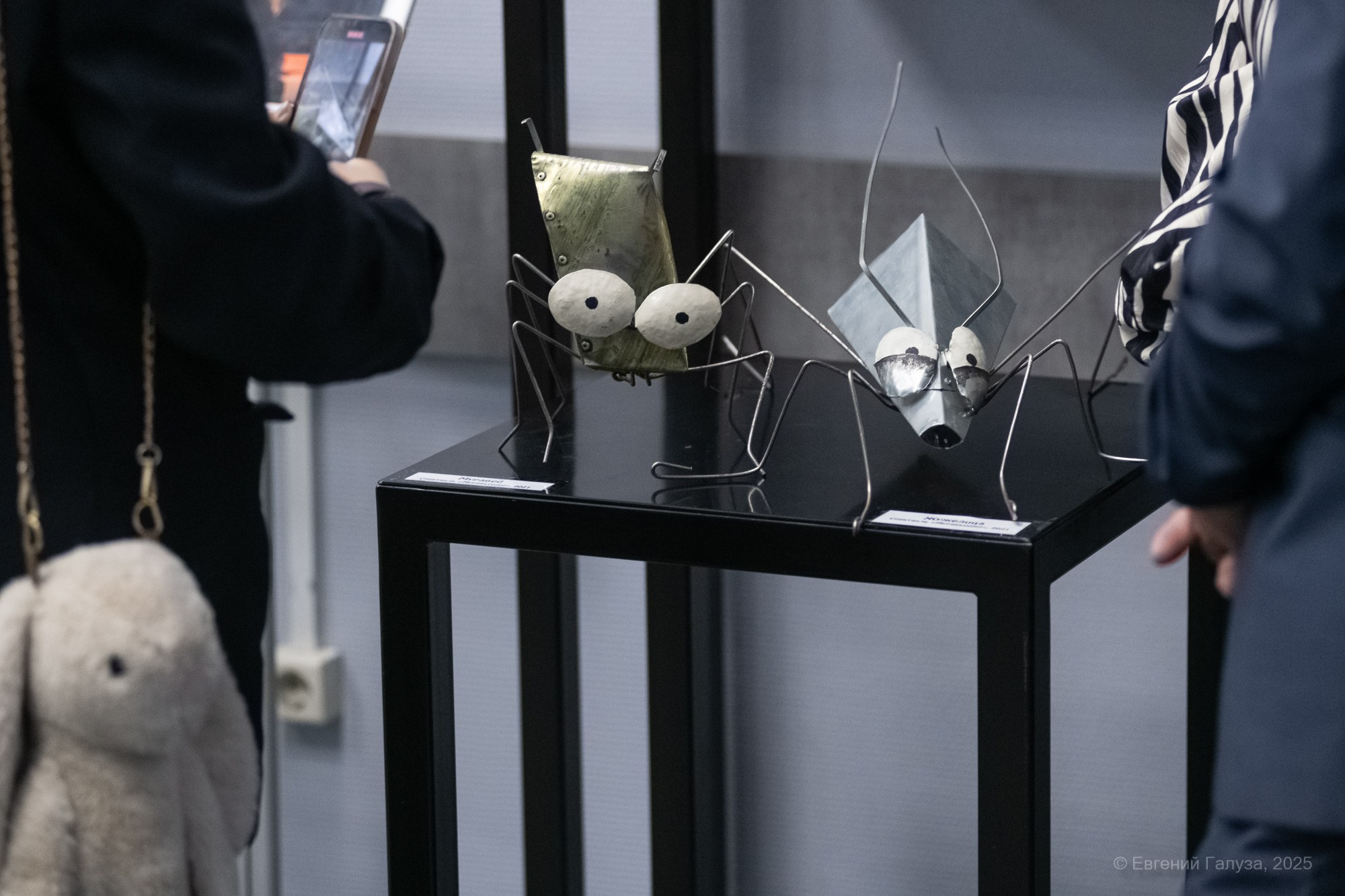 Выставка кукол. Репортажный фотограф г. Чита