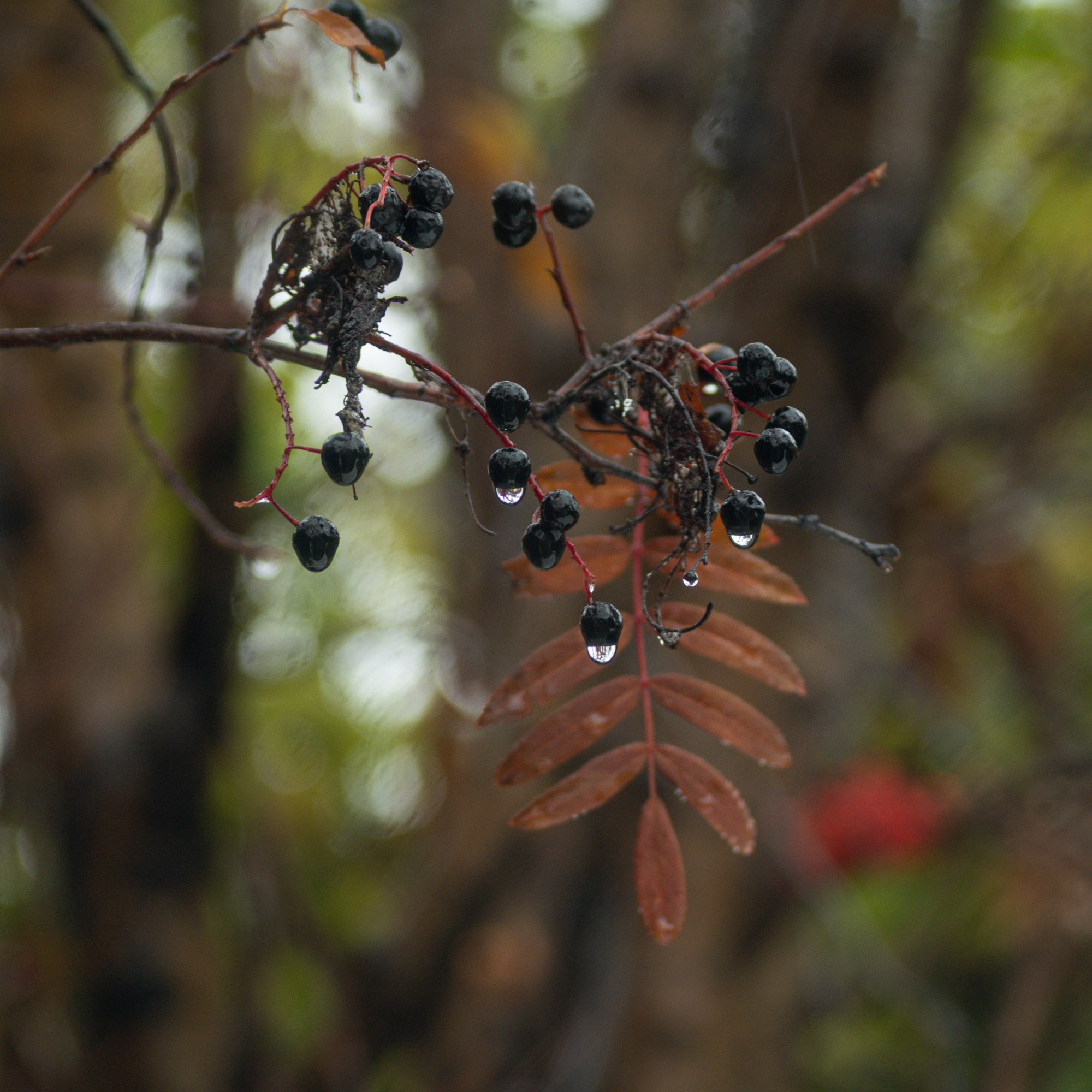 Разное. Репортажный фотограф г. Чита