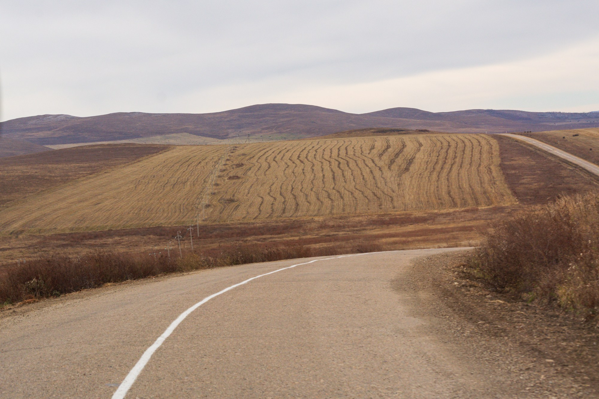 Разное. Репортажный фотограф г. Чита