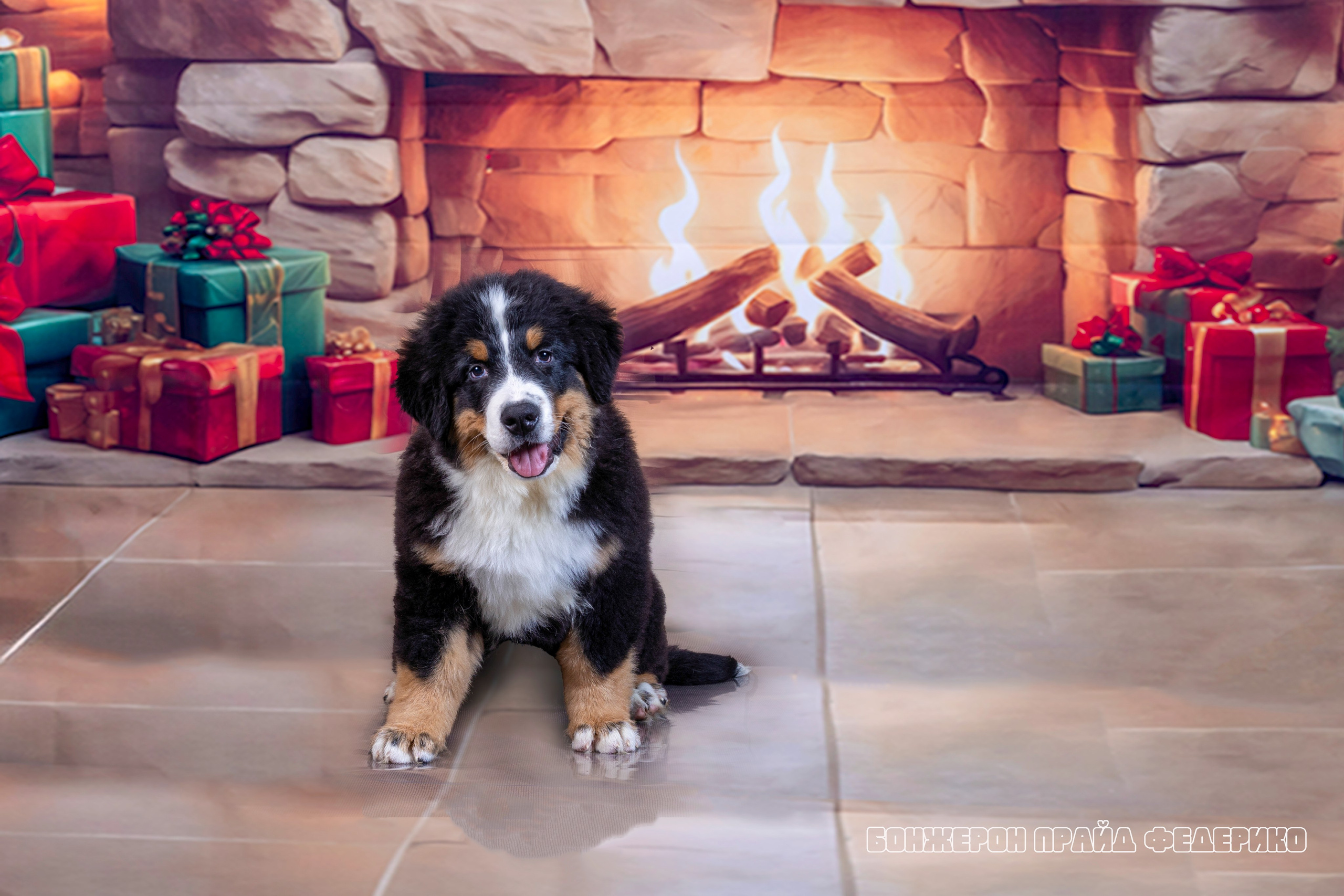 Бонжерон прайд. Фотограф 📸 семейный, предметный, репортажный