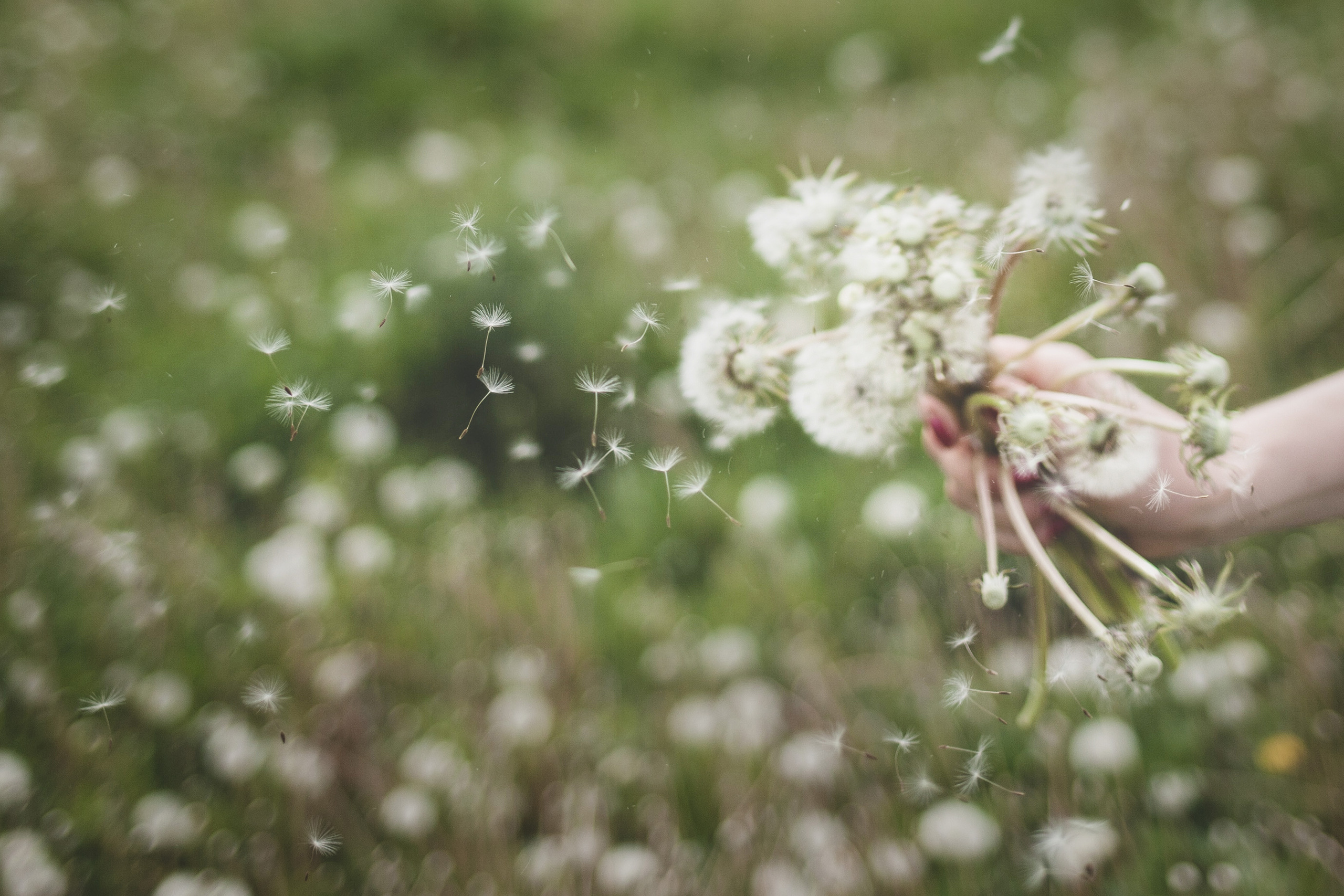 Фотосессия в Мещерском Для Оли. Детский и семейный фотограф в Москве Левандовская Анастасия