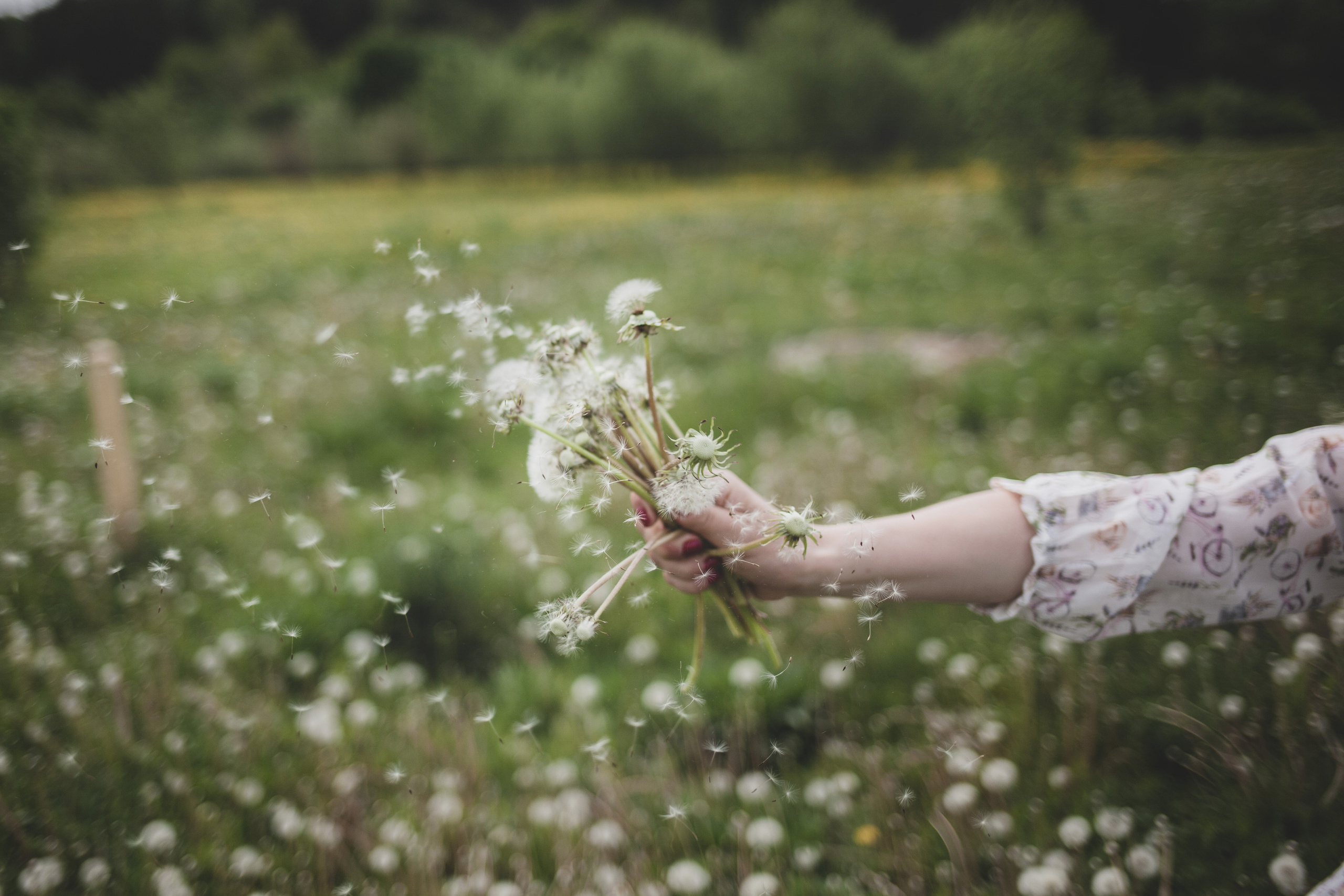 Фотосессия в Мещерском Для Оли. Детский и семейный фотограф в Москве Левандовская Анастасия