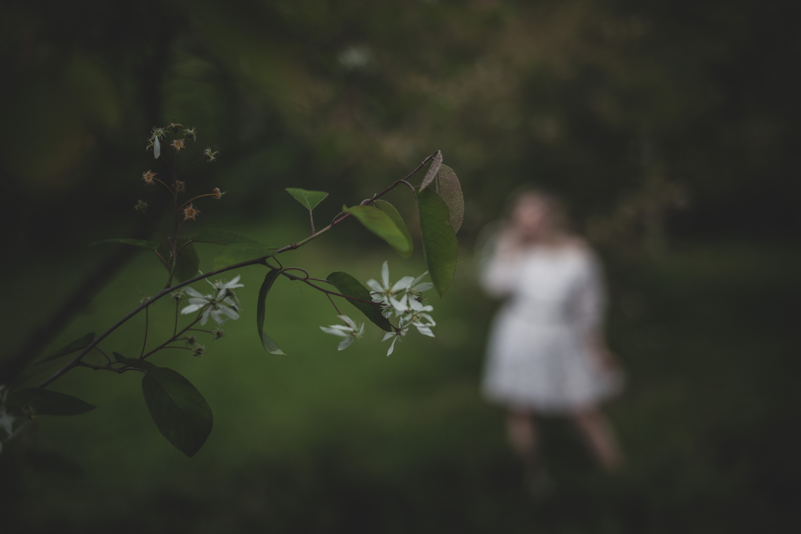 Фотосессия в Мещерском Для Оли. Детский и семейный фотограф в Москве Левандовская Анастасия