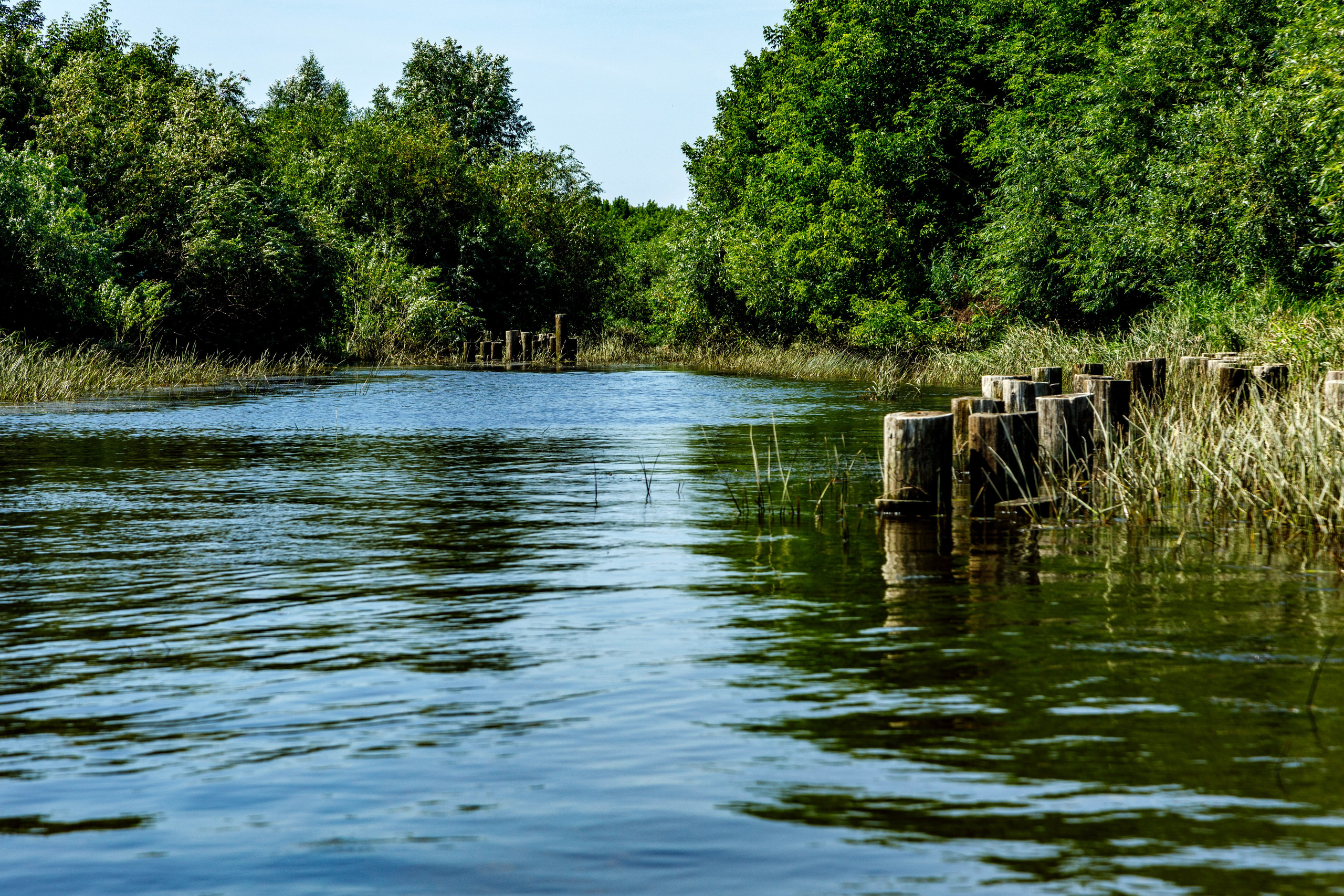 Прогулки по реке. Фотограф Андрей Гузеев