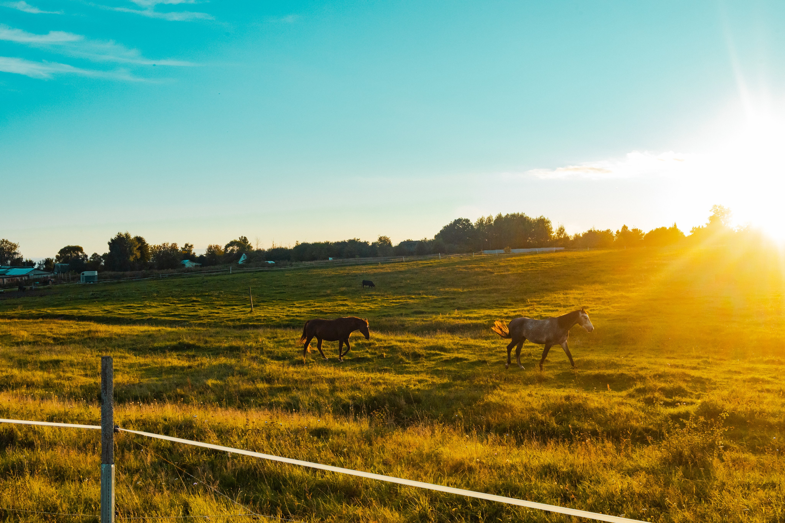 Деревня Мишнево | Калужская область. Папка кадров 📁