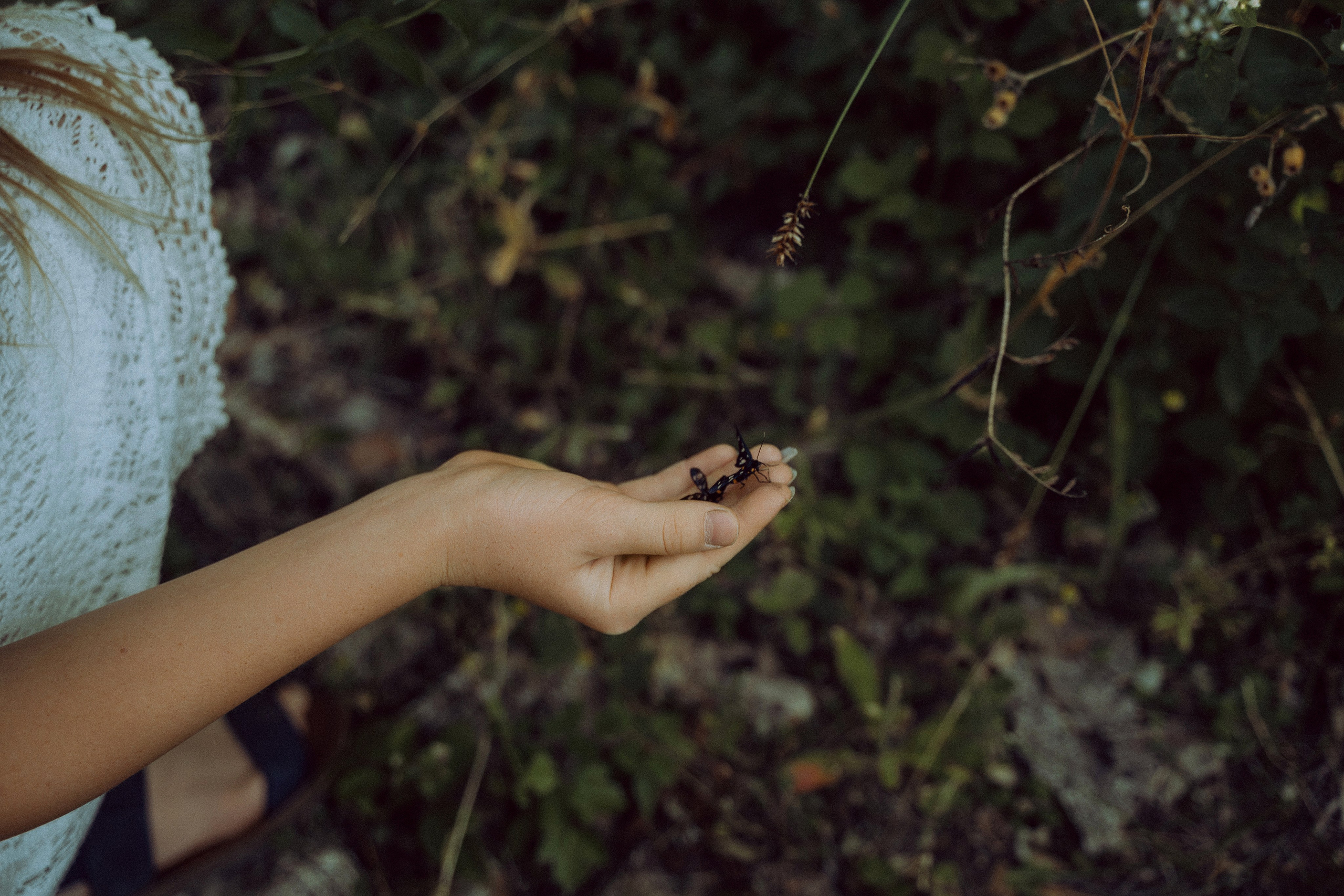 Семейная фотосессия. Татьяна Тагель