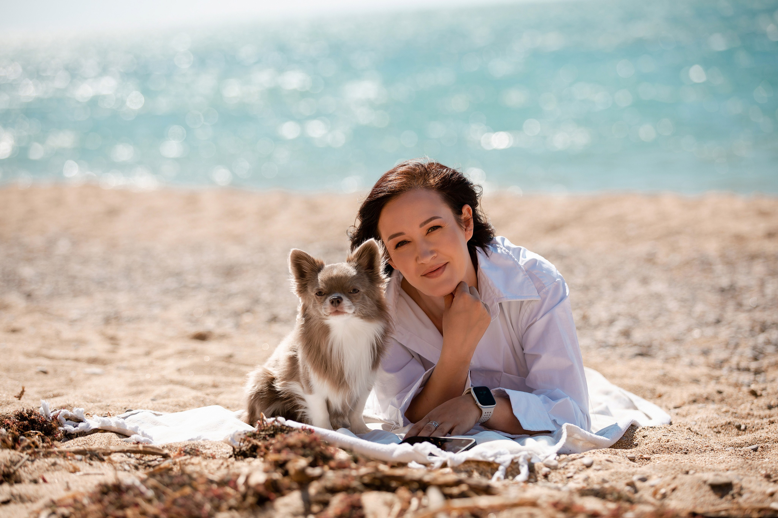 Веймаранер и чихуахуа в Крыму. Фотограф-анималист в Краснодаре Маша Мельникова