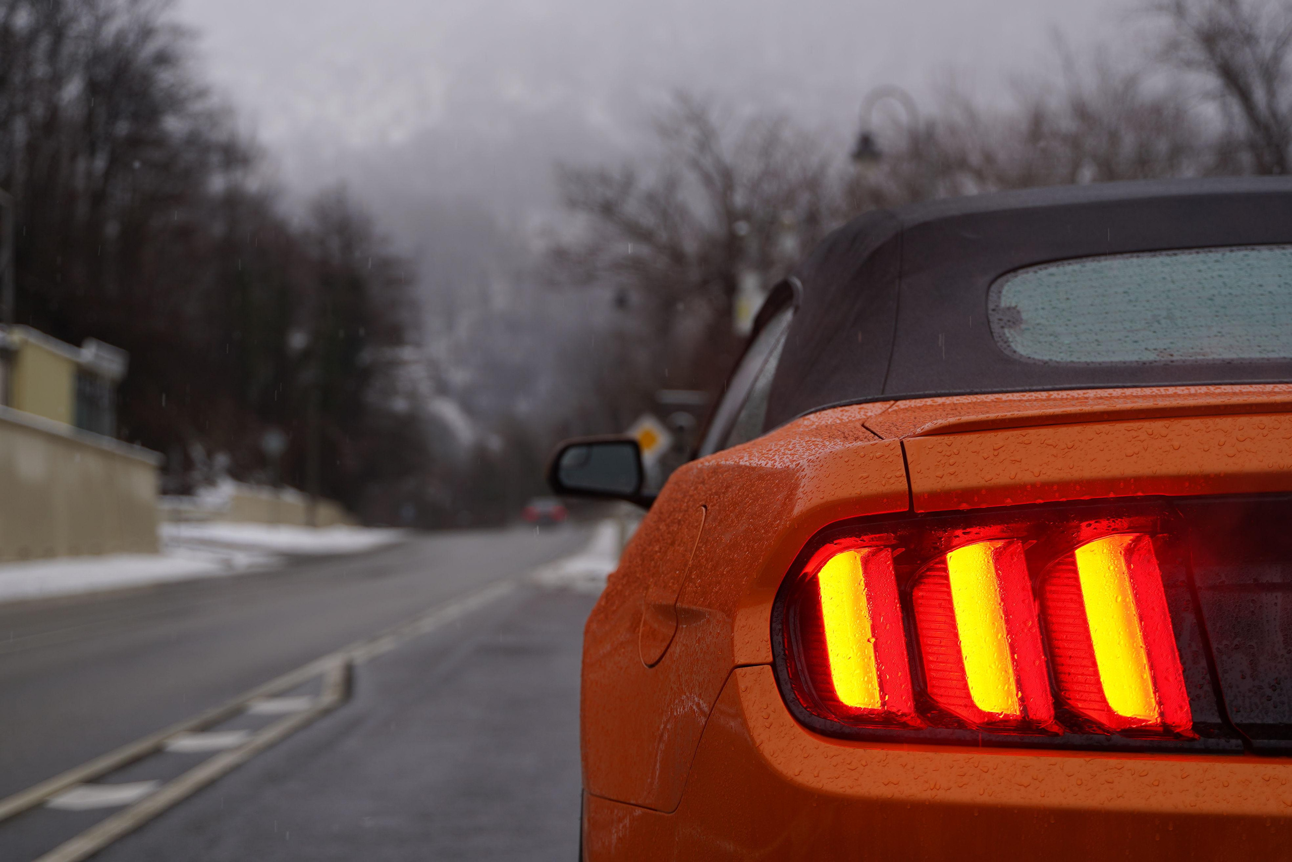 Бизнес уикенд в Сочи. Фотограф Антон Никитин