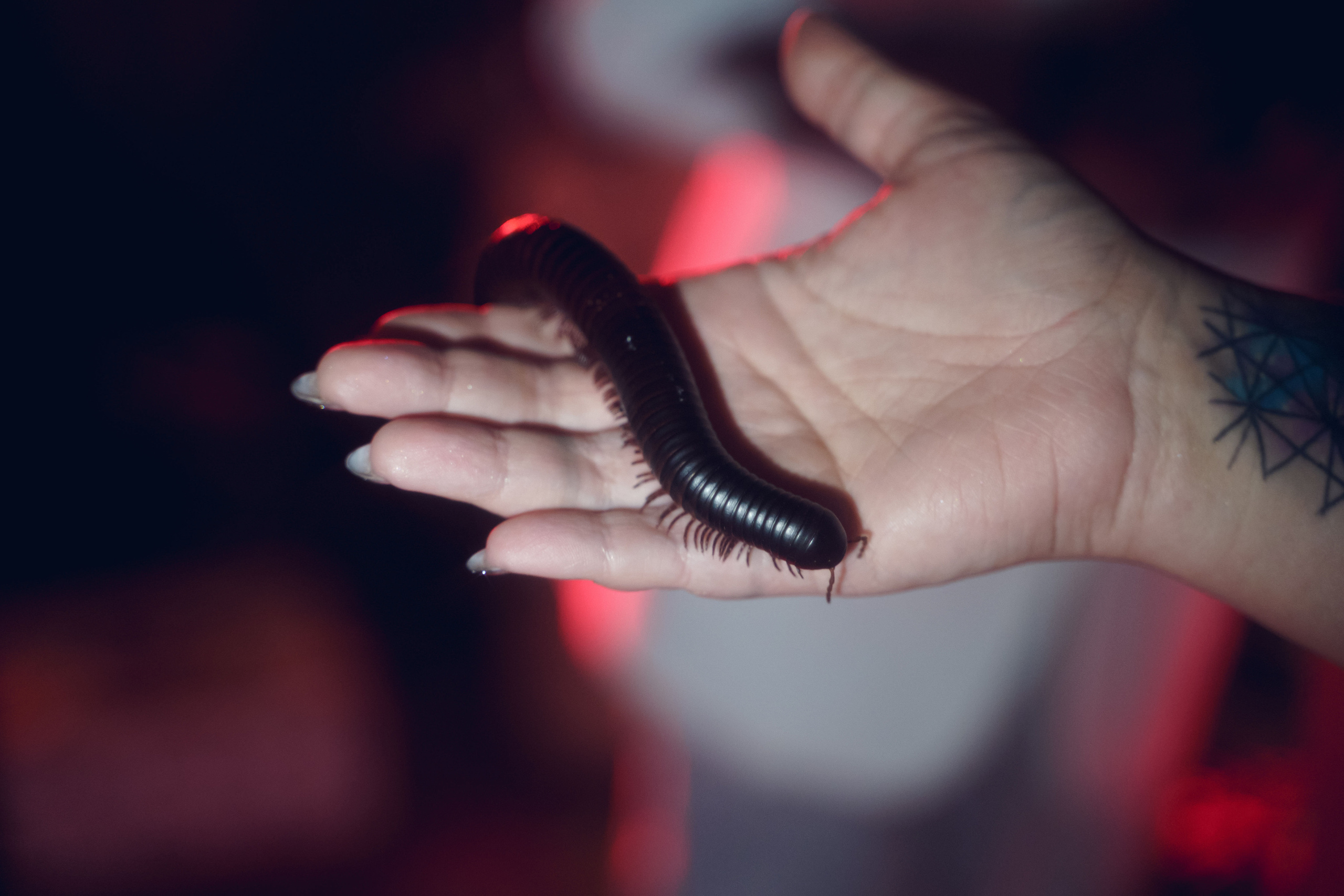 DEVON Birthday. Фотограф Антон Никитин