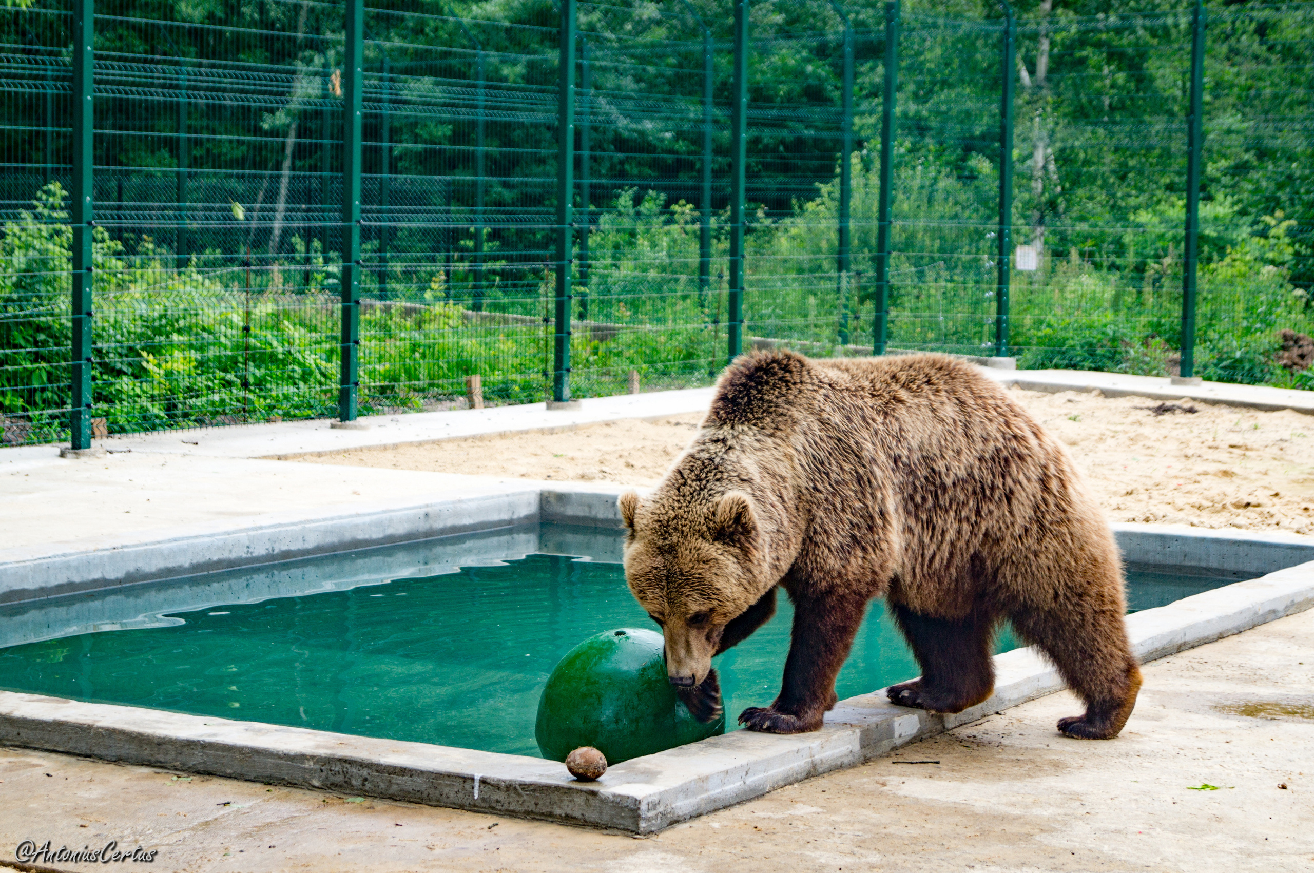 Авиация ✈. Фотограф Антон Никитин