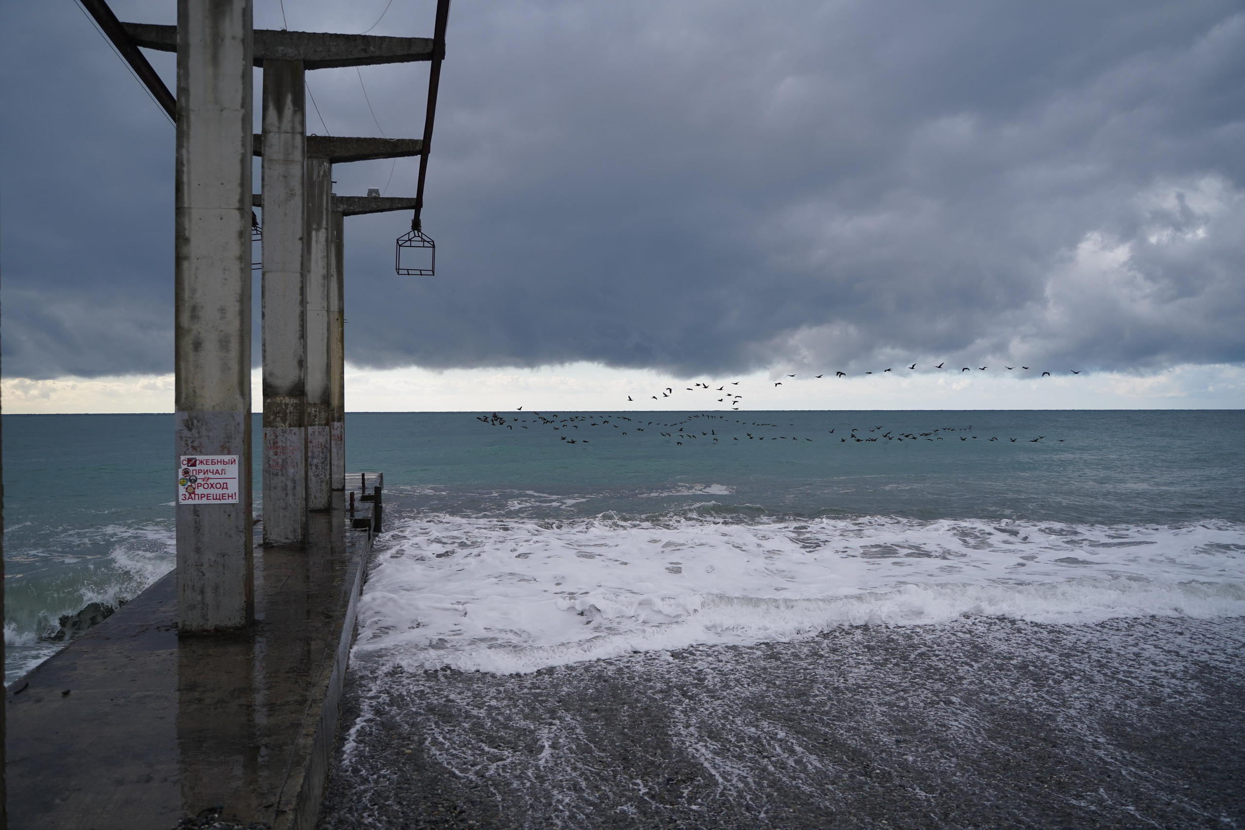 Бизнес уикенд в Сочи. Фотограф Антон Никитин